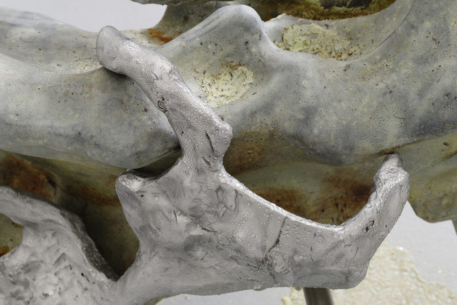 Isabelle Andriessen, BUNK, 2021