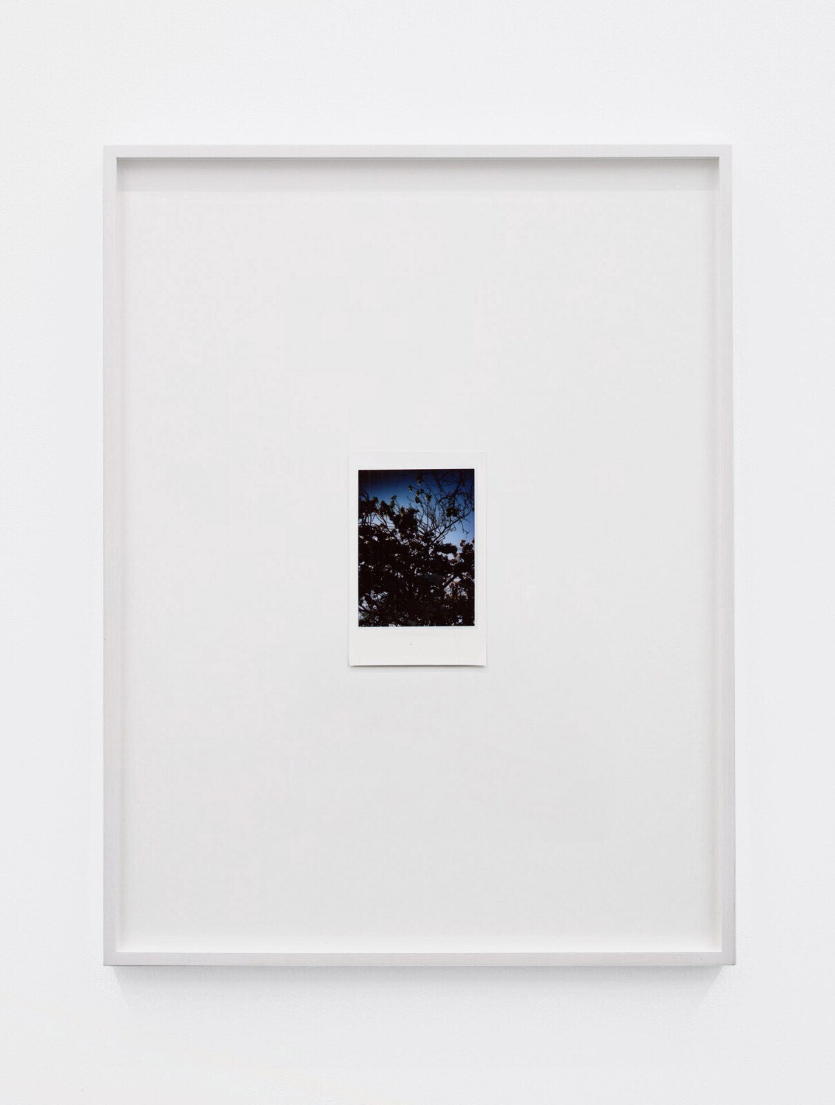 Antoine Duchenet, Untitled (3) (Instax series), 2020-21, Fujifilm Instax Mini, frames (10 x 13 inches)