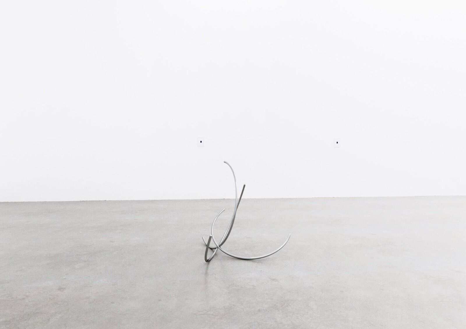 Antoine Duchenet, Bouquet series, 2019-21, bunch of stainless steel curves, variable dimensions