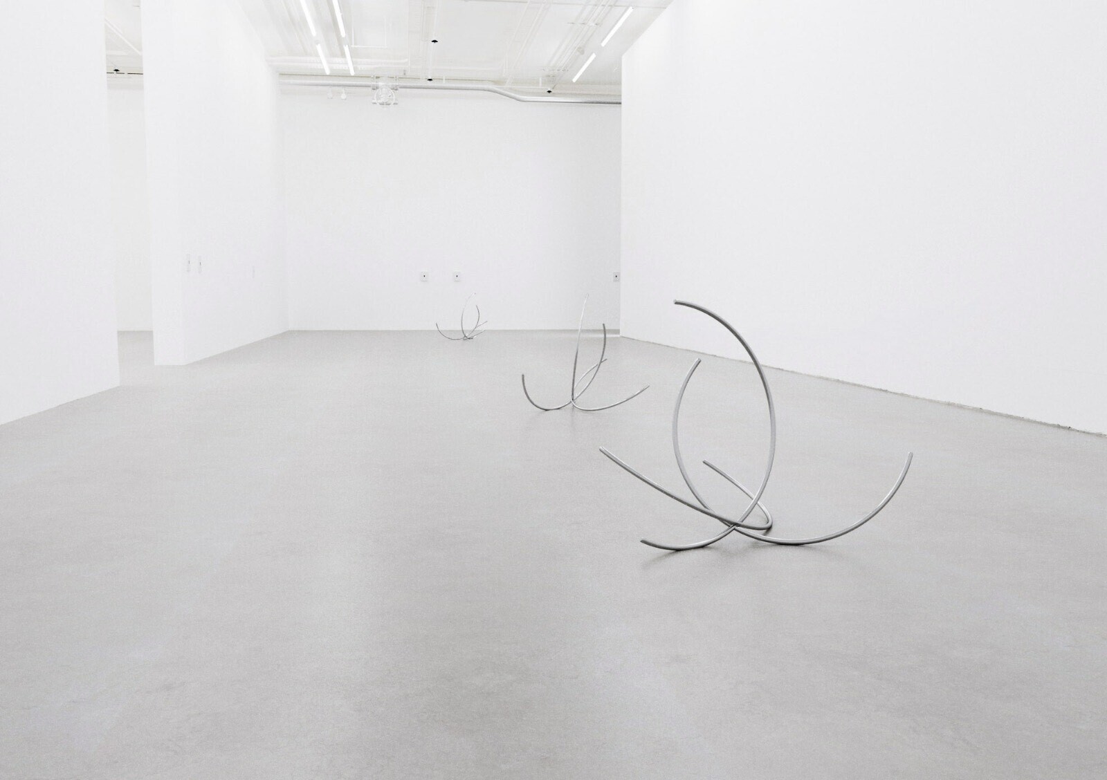 Antoine Duchenet, exhibition view at NIGHTTIMESTORY, Bouquet series, 2019-21, bunch of stainless steel curves, variable dimensions