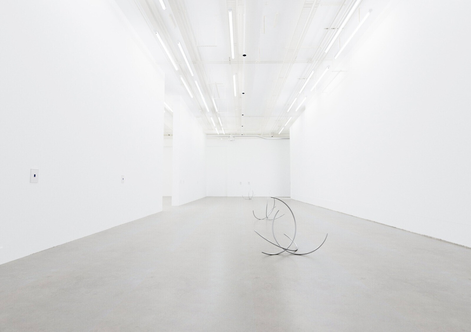 Antoine Duchenet, exhibition view at NIGHTTIMESTORY, Bouquet series and Instax series