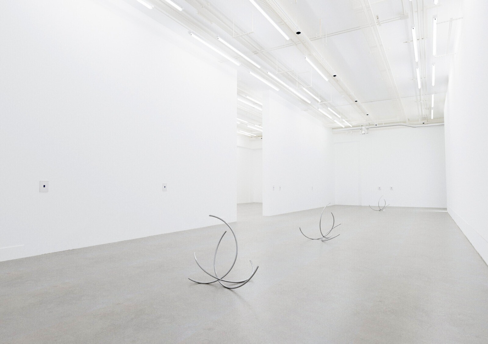 Antoine Duchenet, exhibition view at NIGHTTIMESTORY, Bouquet series and Instax series