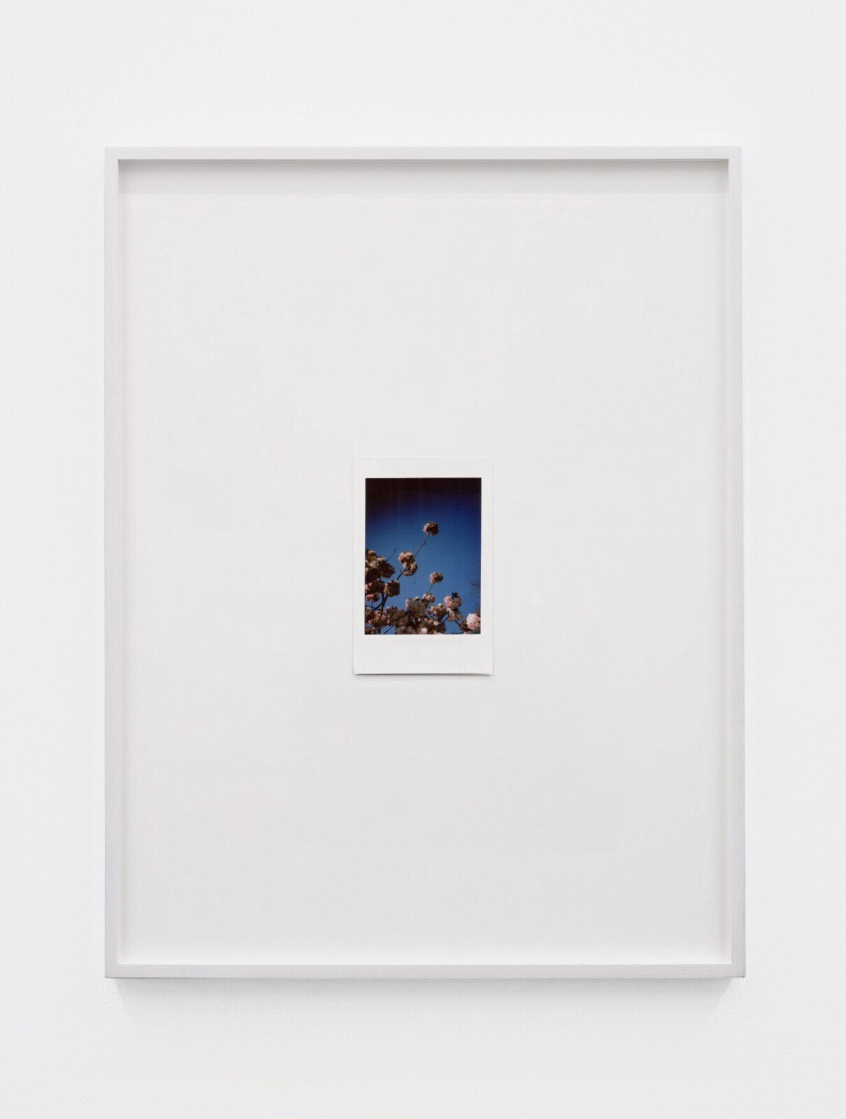 Antoine Duchenet, Untitled (1) (Instax series), 2020-21, Fujifilm Instax Mini, frames (10 x 13 inches)