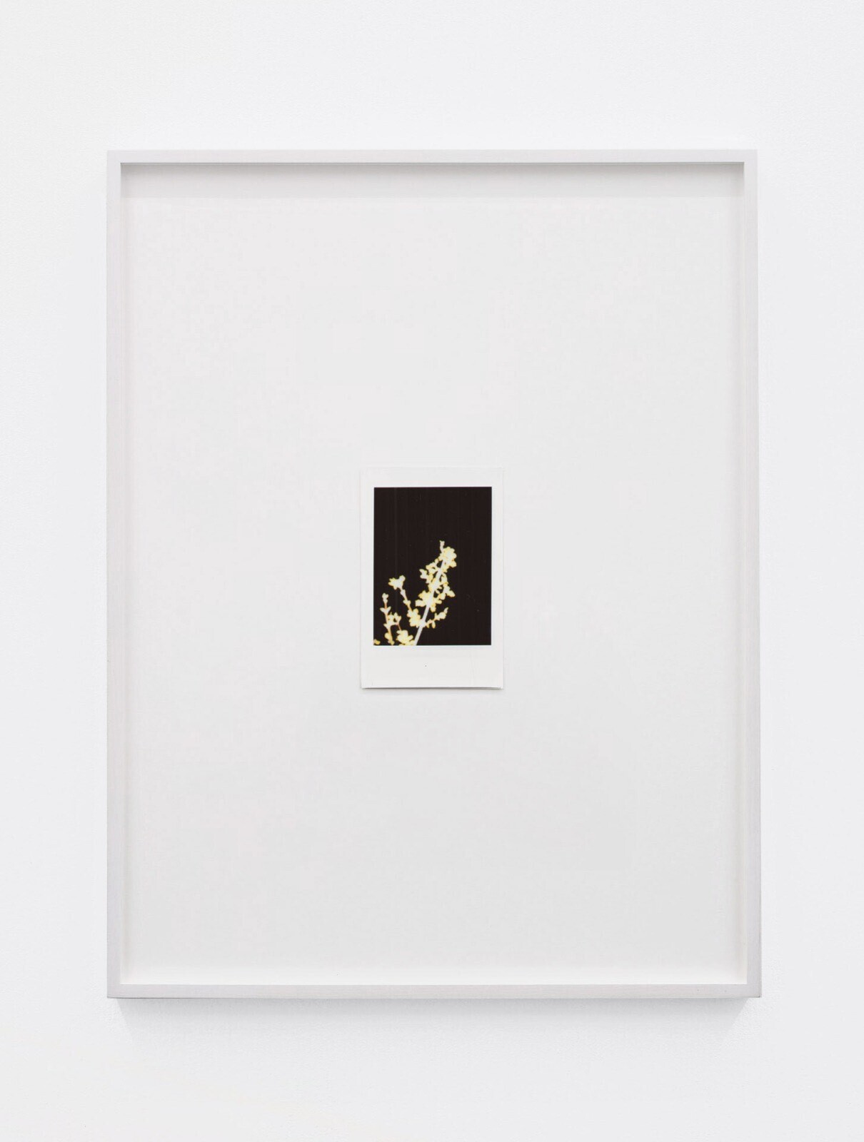 Antoine Duchenet, Untitled (2) (Instax series), 2020-21, Fujifilm Instax Mini, frames (10 x 13 inches)