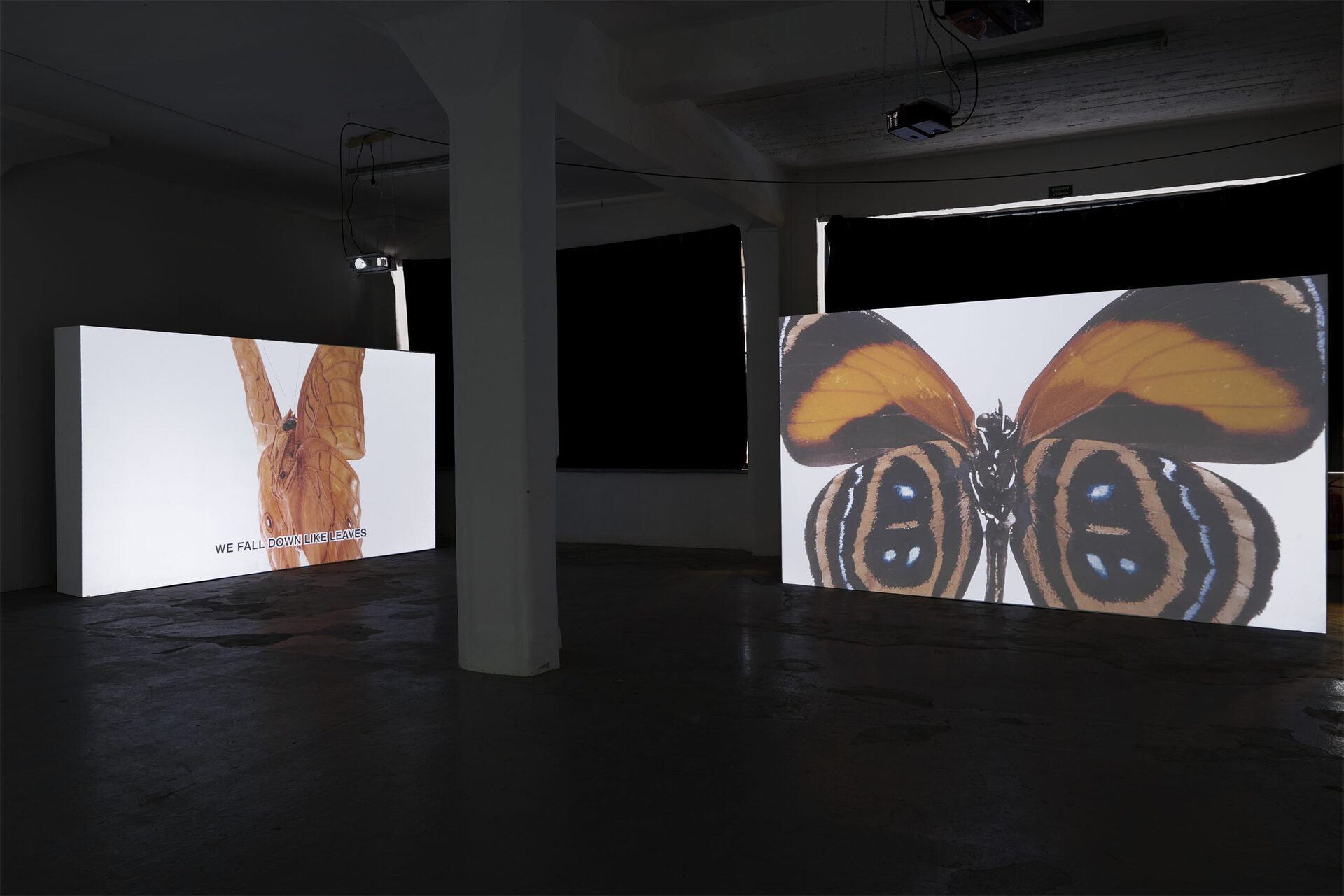 Flat As Pizza_ Duna group_at_Pragovka Gallery