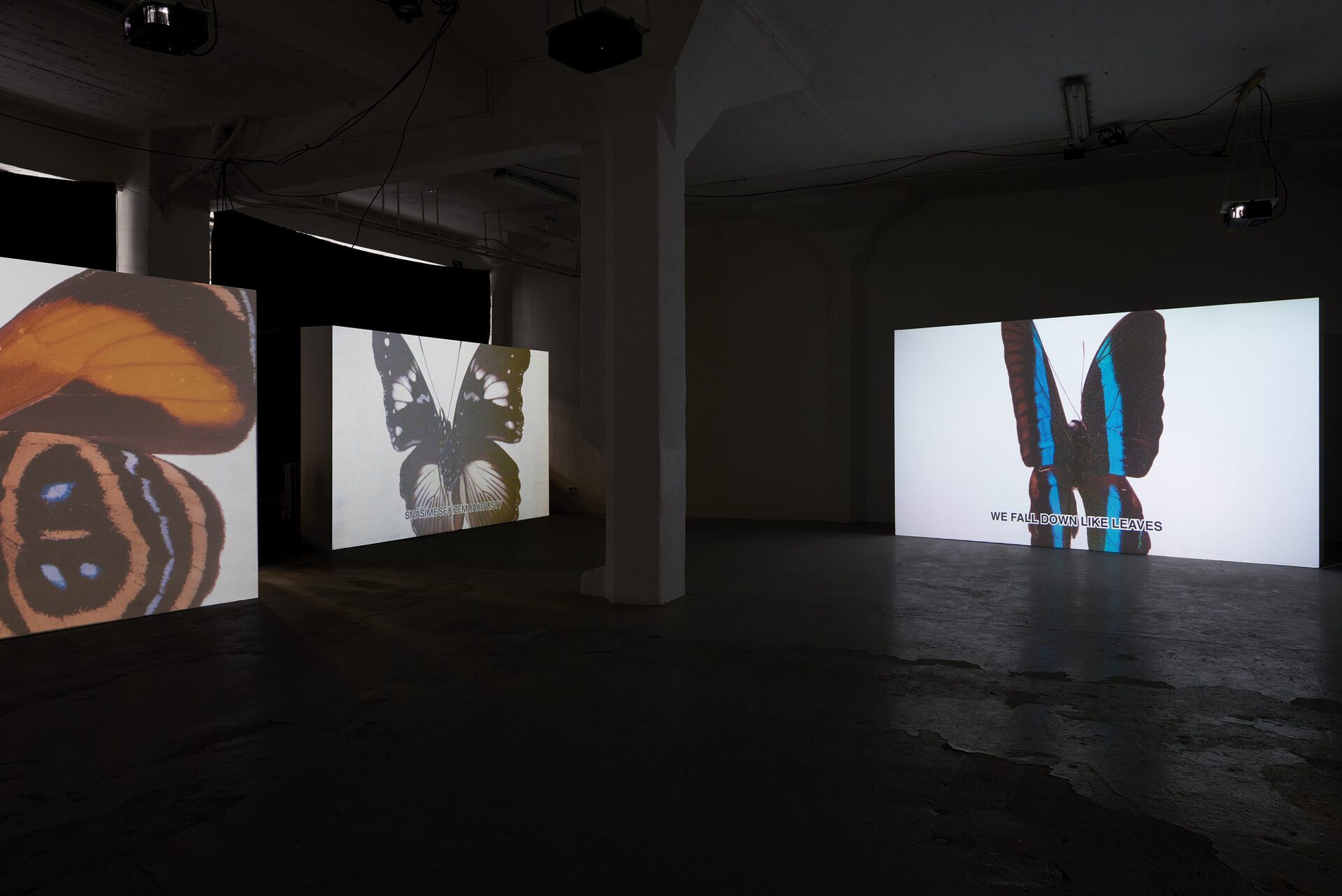 Flat As Pizza_ Duna group_at_Pragovka Gallery