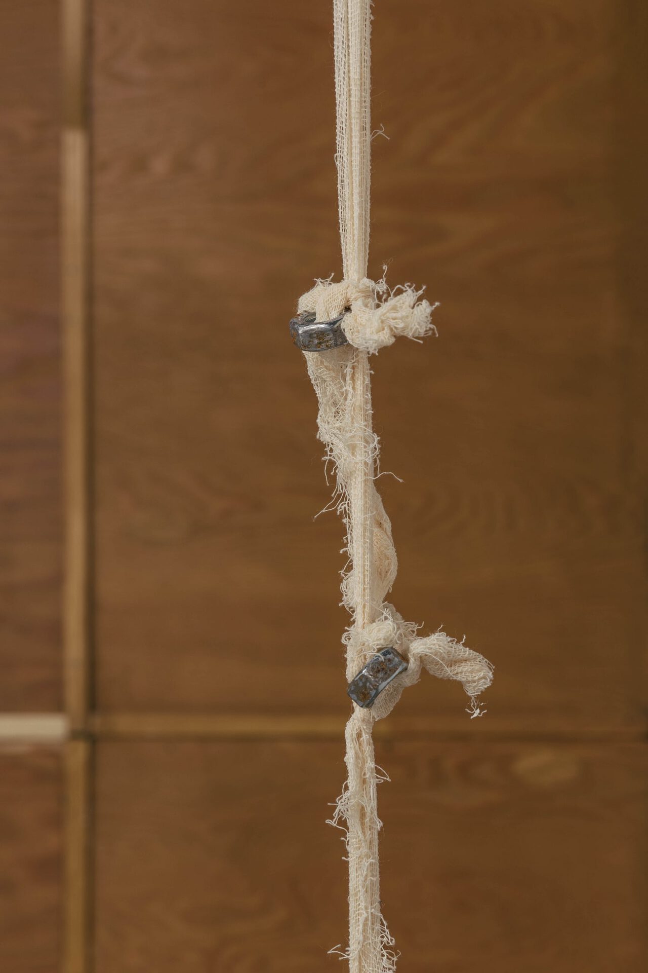 Hanged 2. 2021, hypoallergenic silicone, drawing, cheesecloth, rust, screw-nuts, ground, oil traces looped sound 06’54” 22.5х18х1 сm