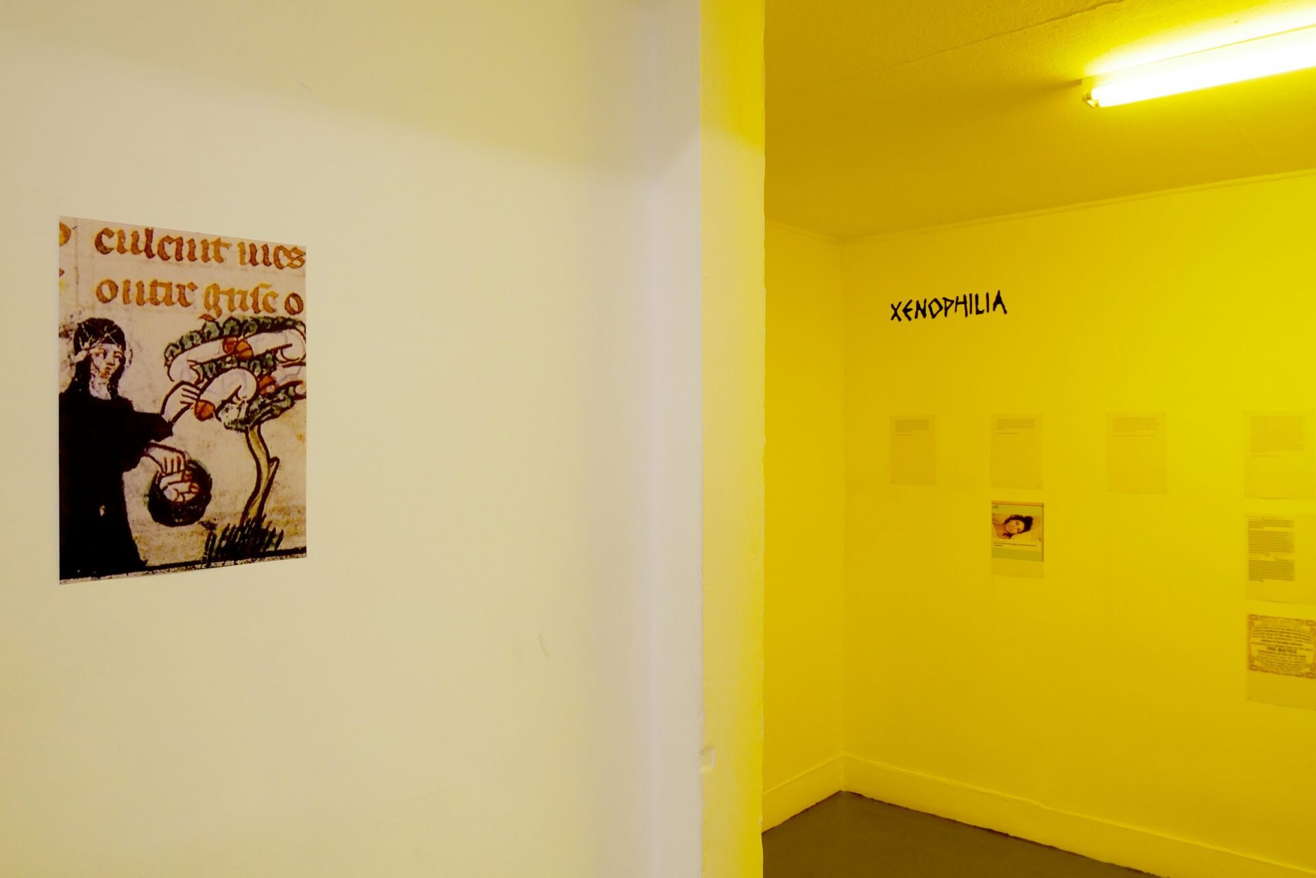 l4bouche, xenophilia room, entry