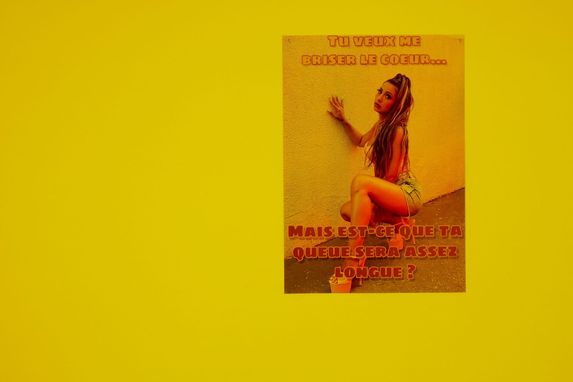 l4bouche, You want to break my heart?, Internet meme