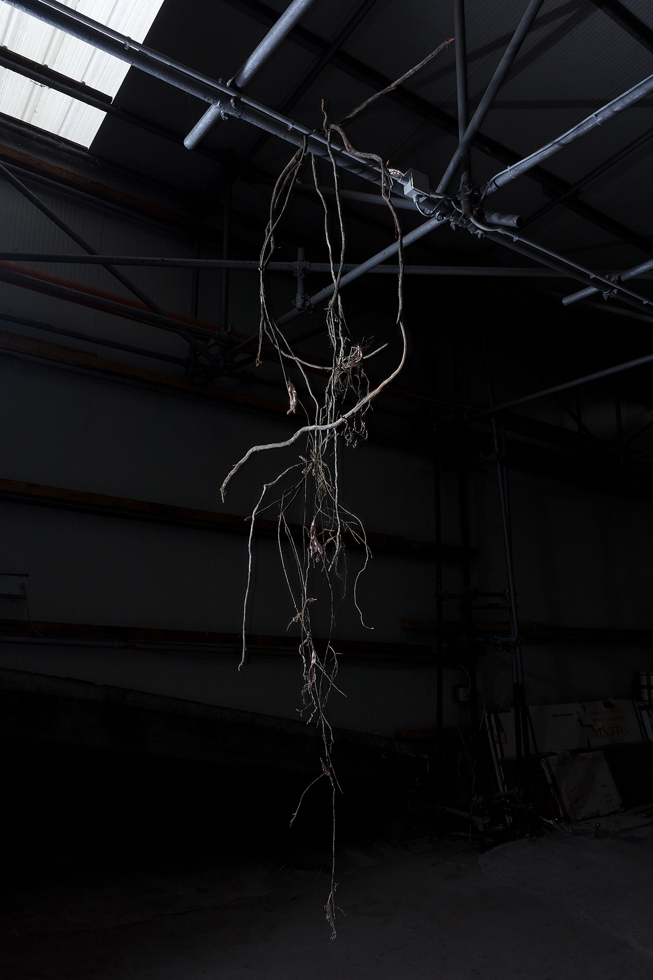 Lucia Cristiani, Dove ogni cosa resta, 2021, Photo: Mattia Angelini