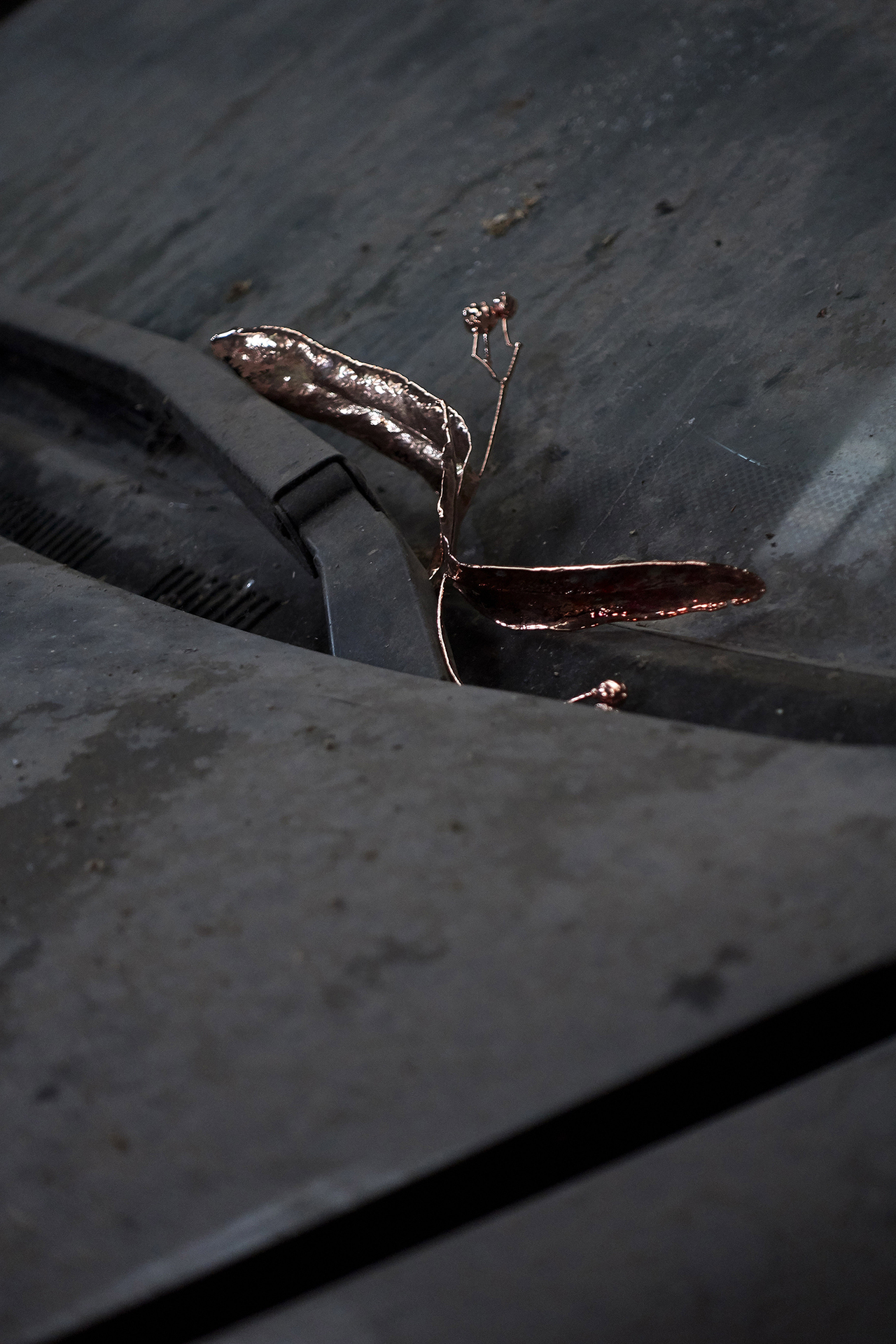 Lucia Cristiani, Dove ogni cosa resta (detail), 2021, Photo: Mattia Angelini