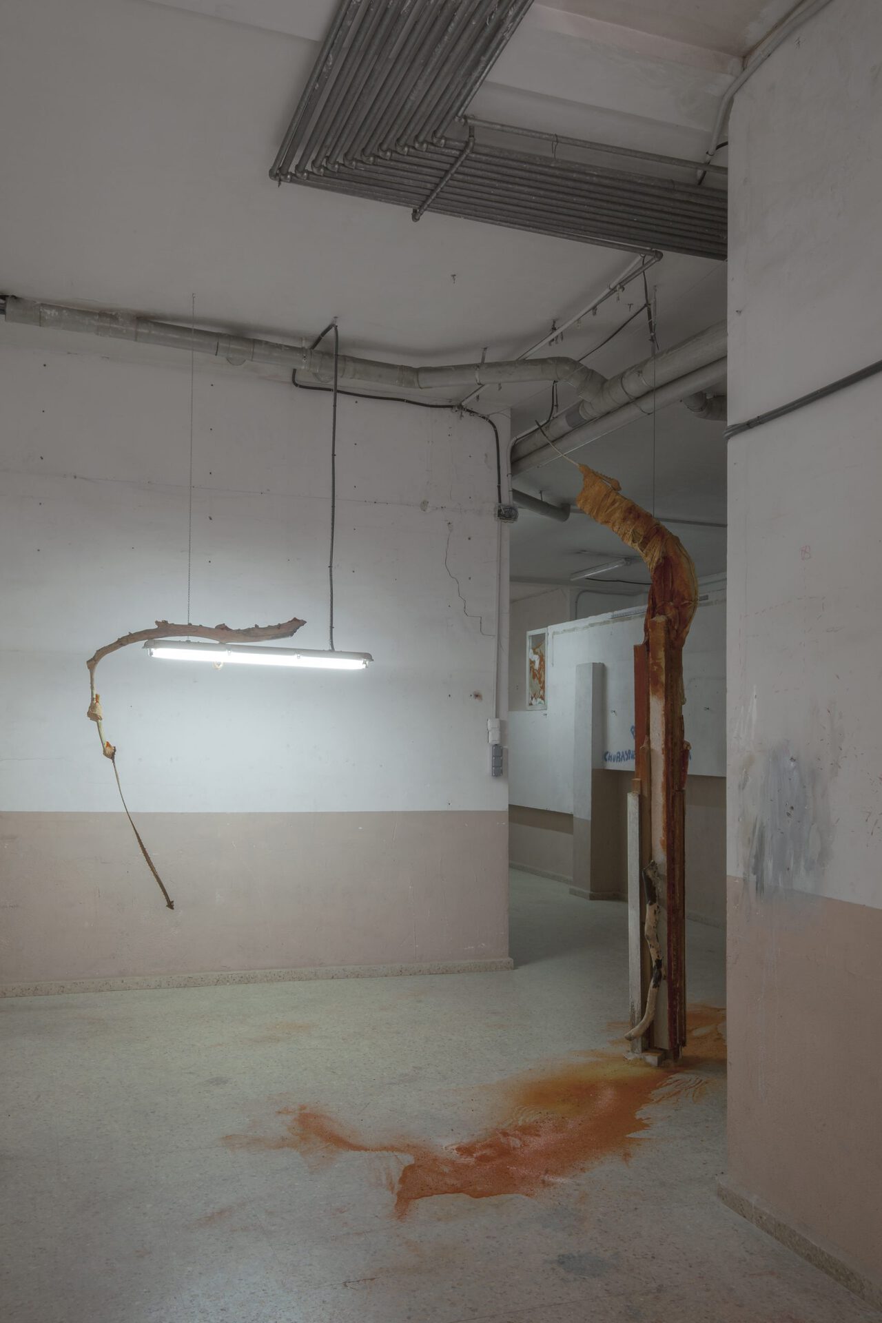 Installation view from Two Suns Upon Shatt al Jarid, solo show by Monia Ben Hamouda at Pols, Valencia ES