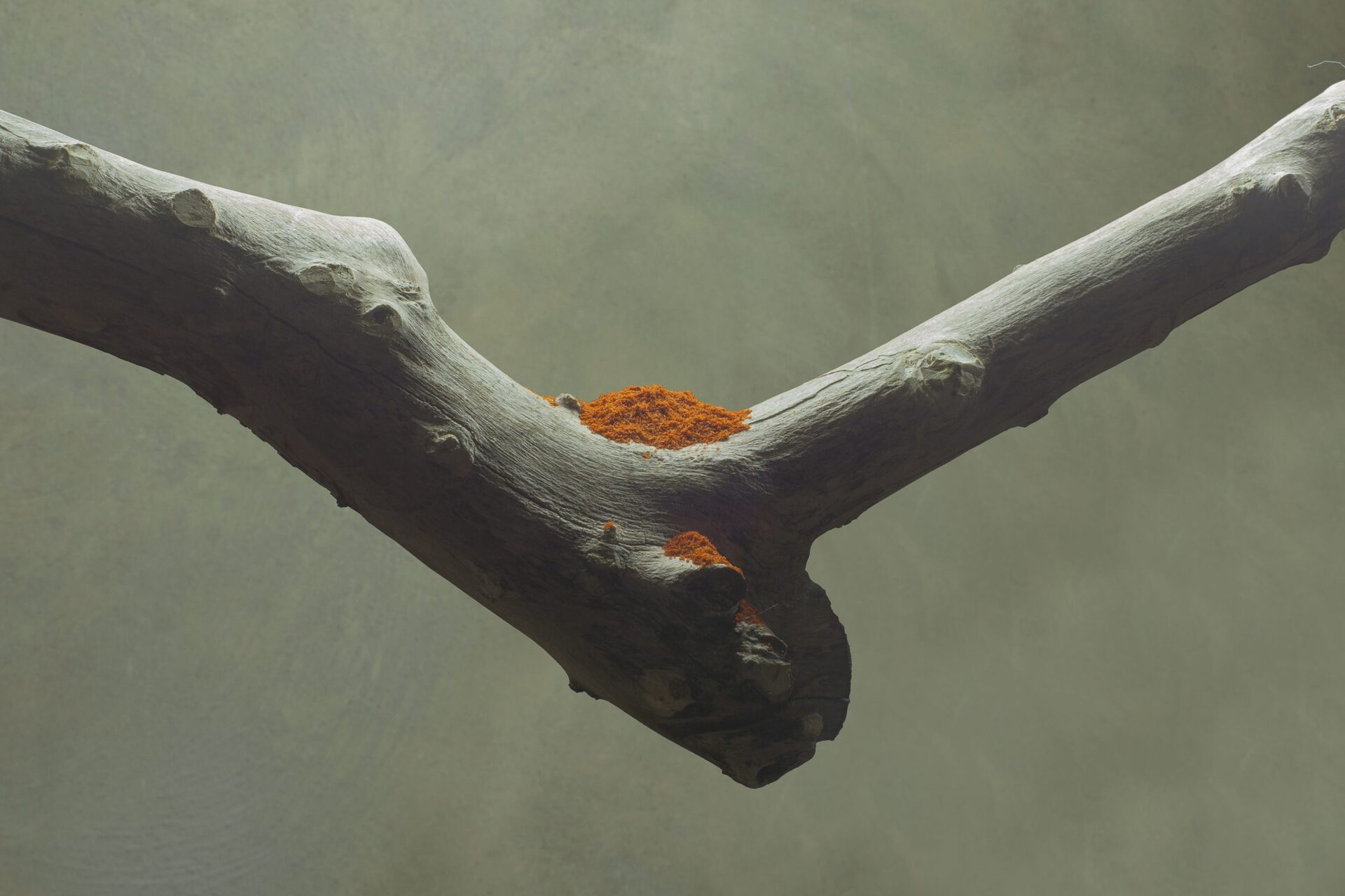 Monia Ben Hamouda, Chandelier (Taronger i Palmeres) II - detail -, 2021 Wood, wax, fabrics, chilli powder 120x161x110cm