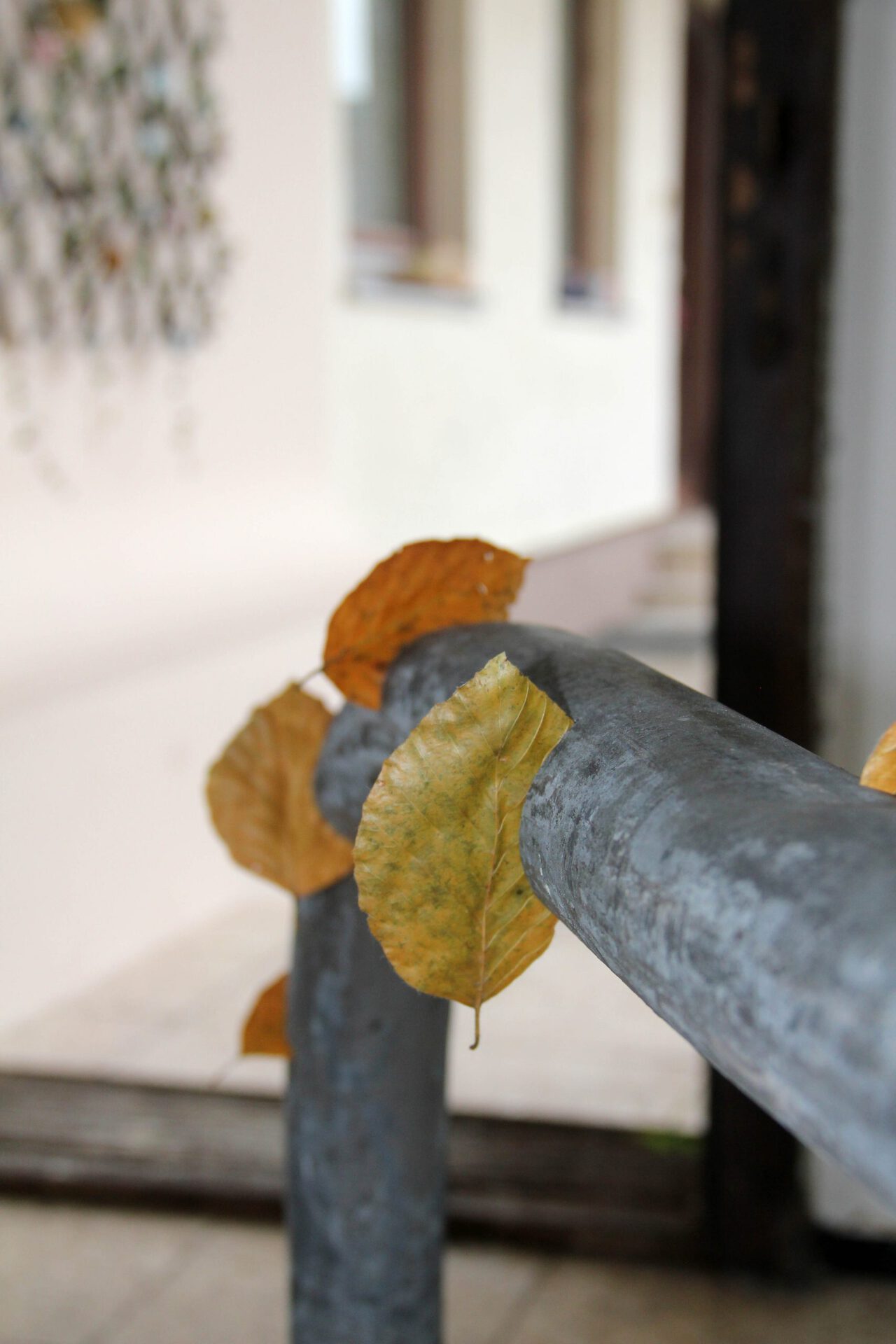 Untitled (detail), 2021, metal bar, sharp leaves