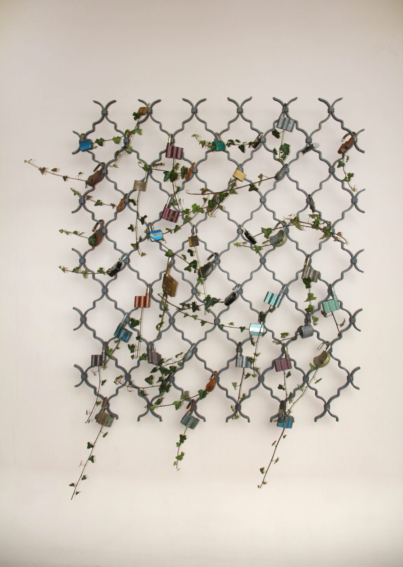 Untitled (lockpicking Ivy), 2020, powder-coated grid, common ivy (Hedera helix), cracked locks