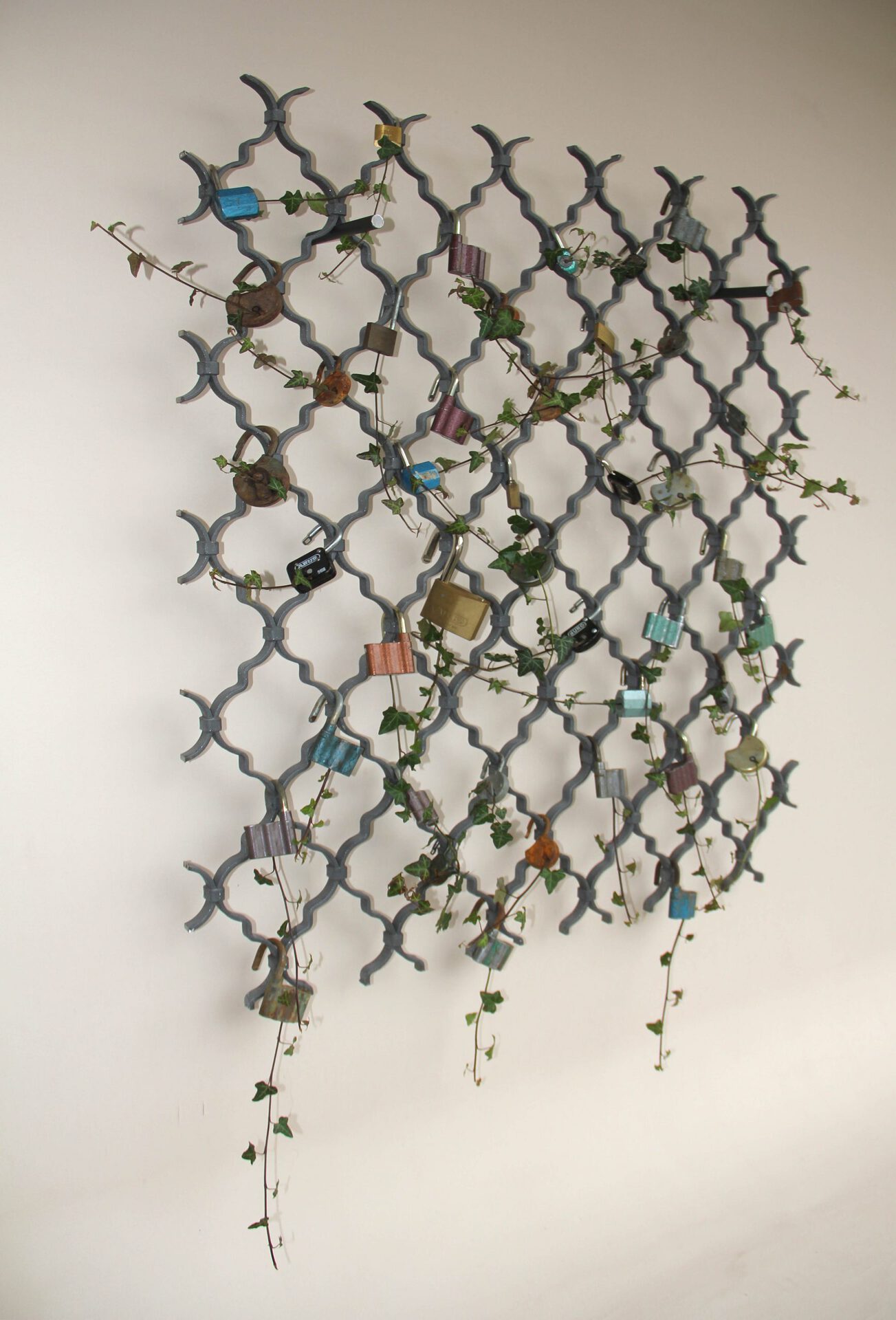 Untitled (lockpicking Ivy), 2020, powder-coated grid, common ivy (Hedera helix), cracked locks