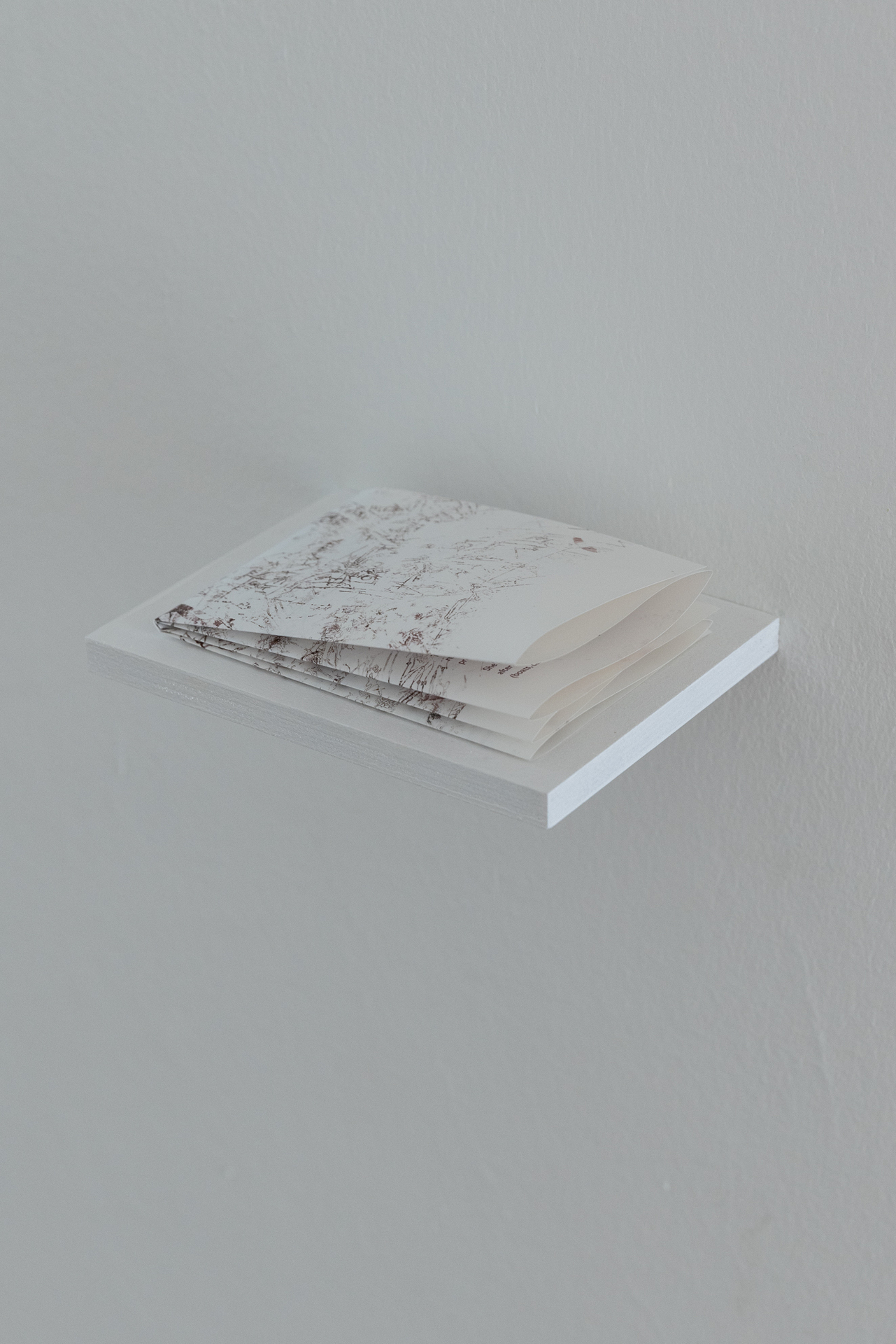 Frances Drayson, "Designations", 2021, text and print on impregnated, waterproof paper, 29,7 x 42 cm