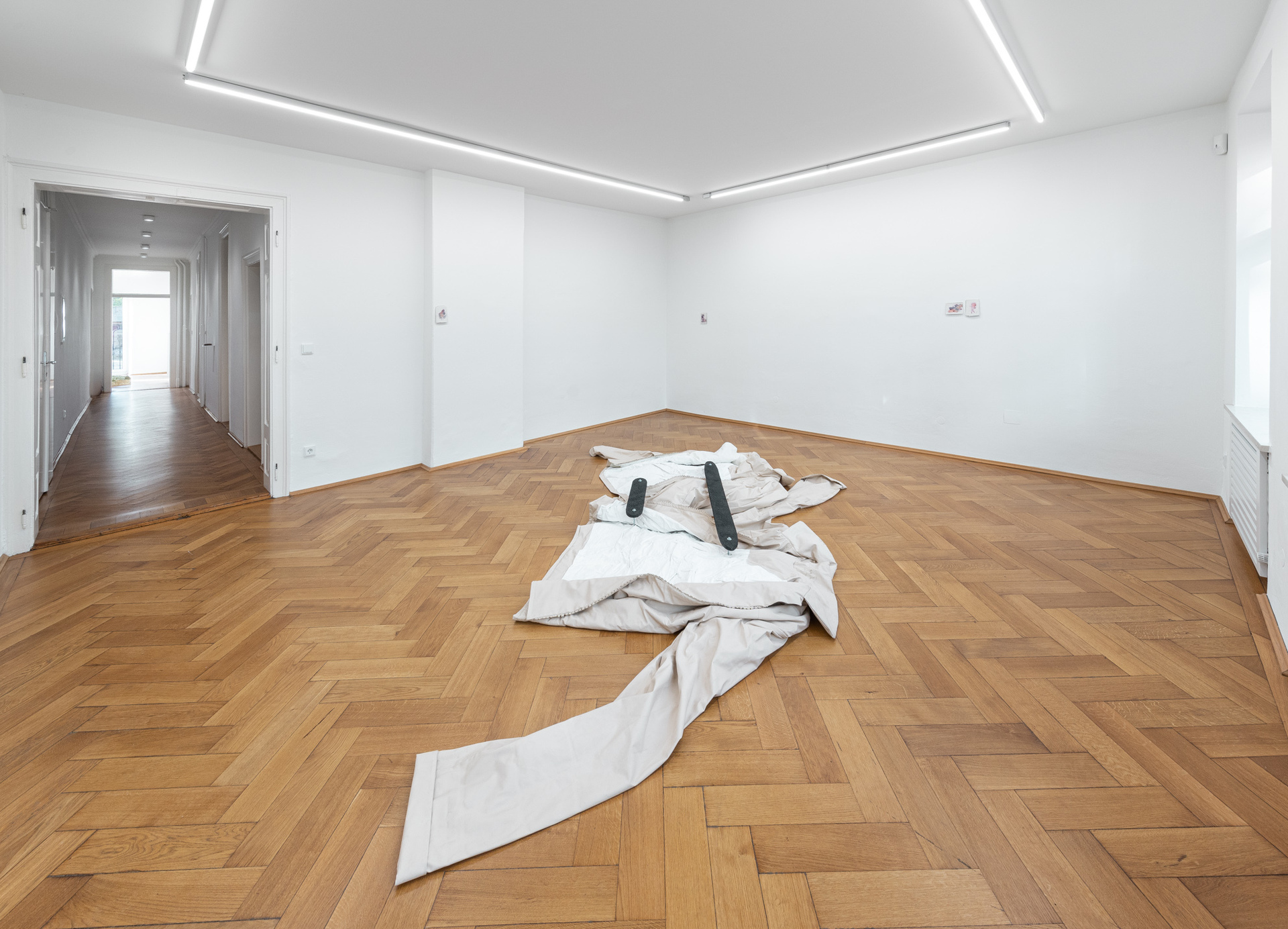 Installation View: Frances Drayson, "Natural History", 2021