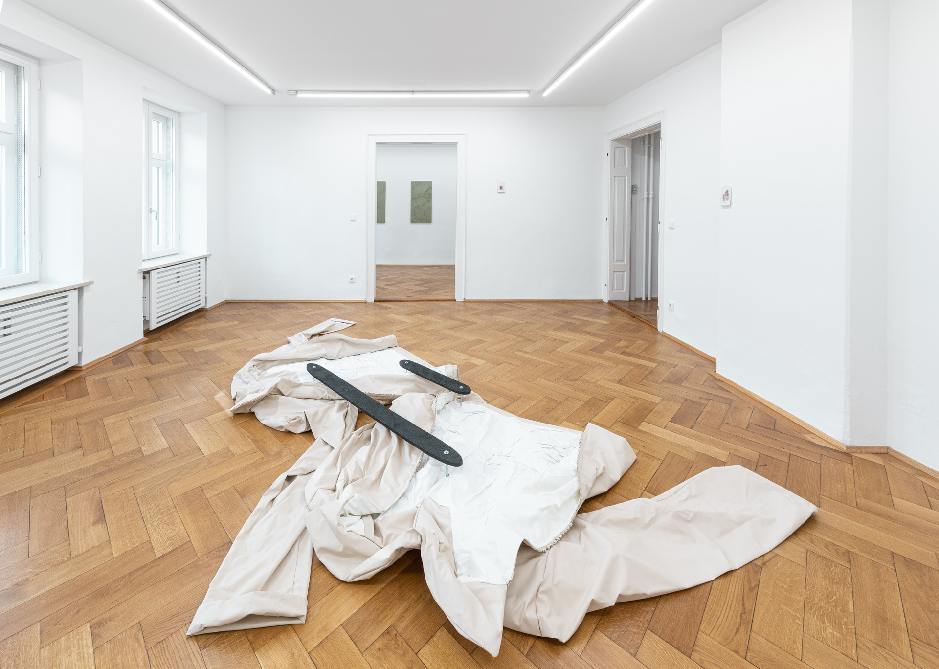 Installation View: Frances Drayson, "Natural History", 2021