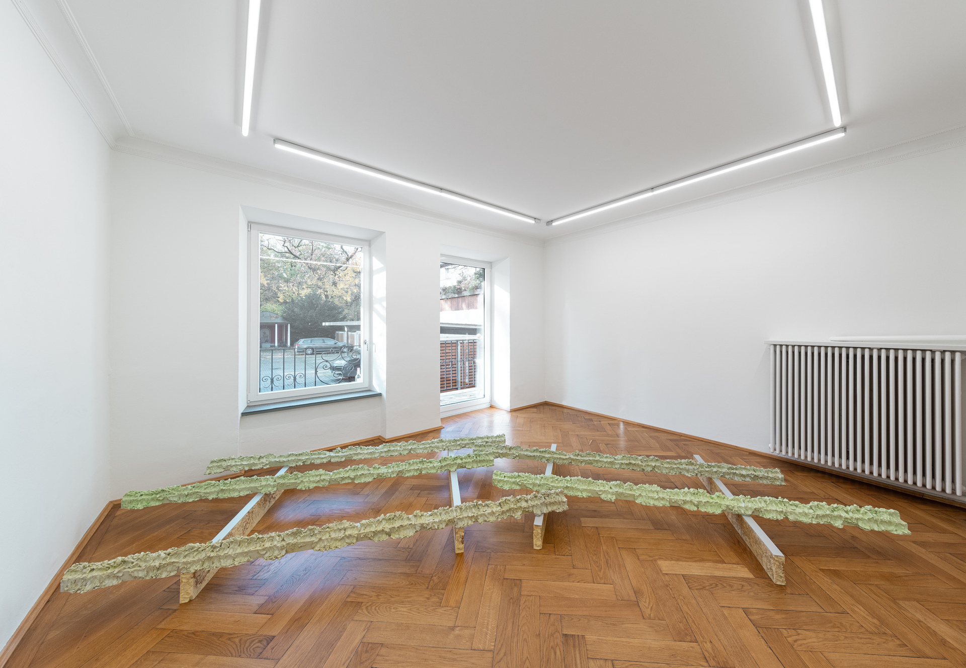Installation View: Frances Drayson, "Natural History", 2021