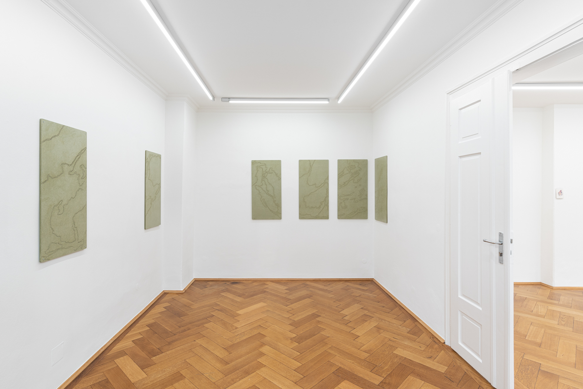 Installation View: Frances Drayson, "Natural History", 2021