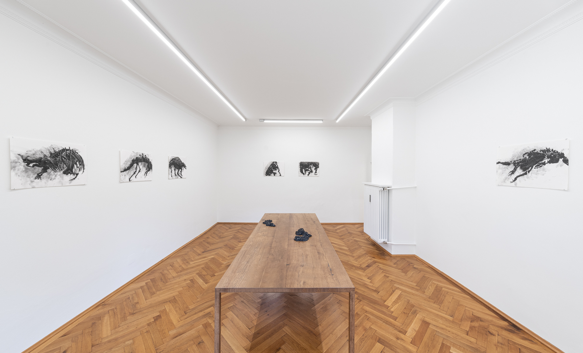 Installation View: Frances Drayson, "Natural History", 2021