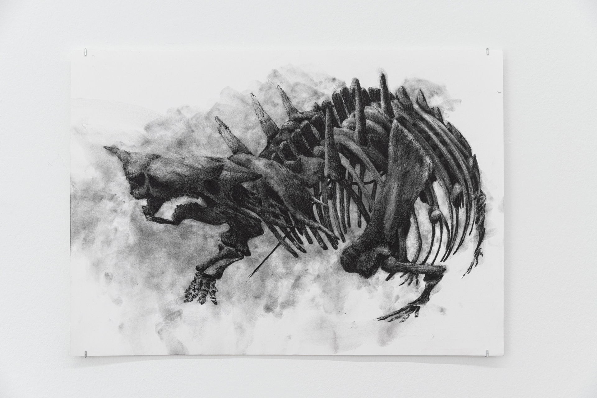 Frances Drayson, "Sandie", 2021, carbon on cartridge paper, 42 x 59,4 cm