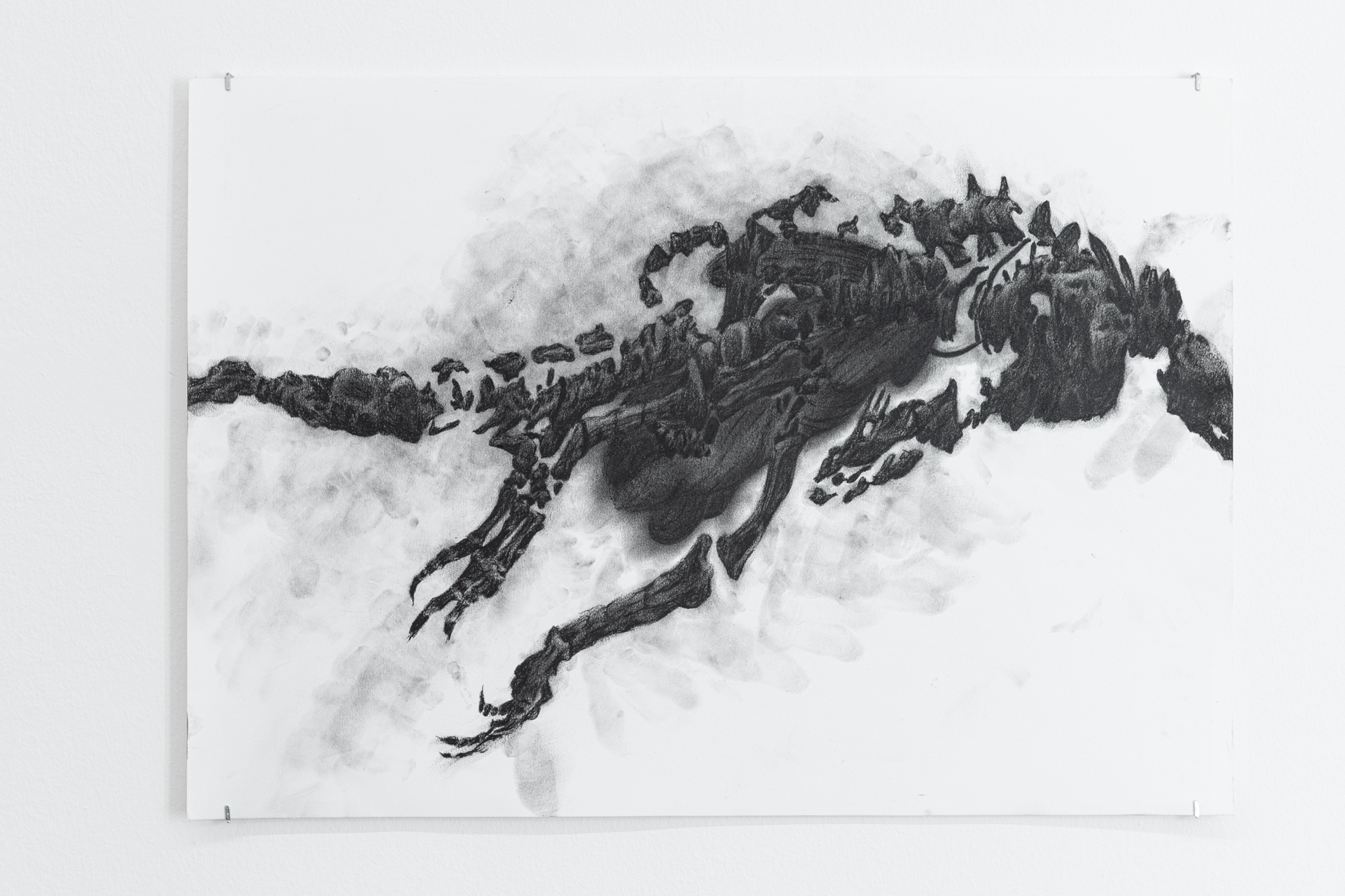 Frances Drayson, "Nancy", 2021, carbon on cartridge paper, 42 x 59,4 cm