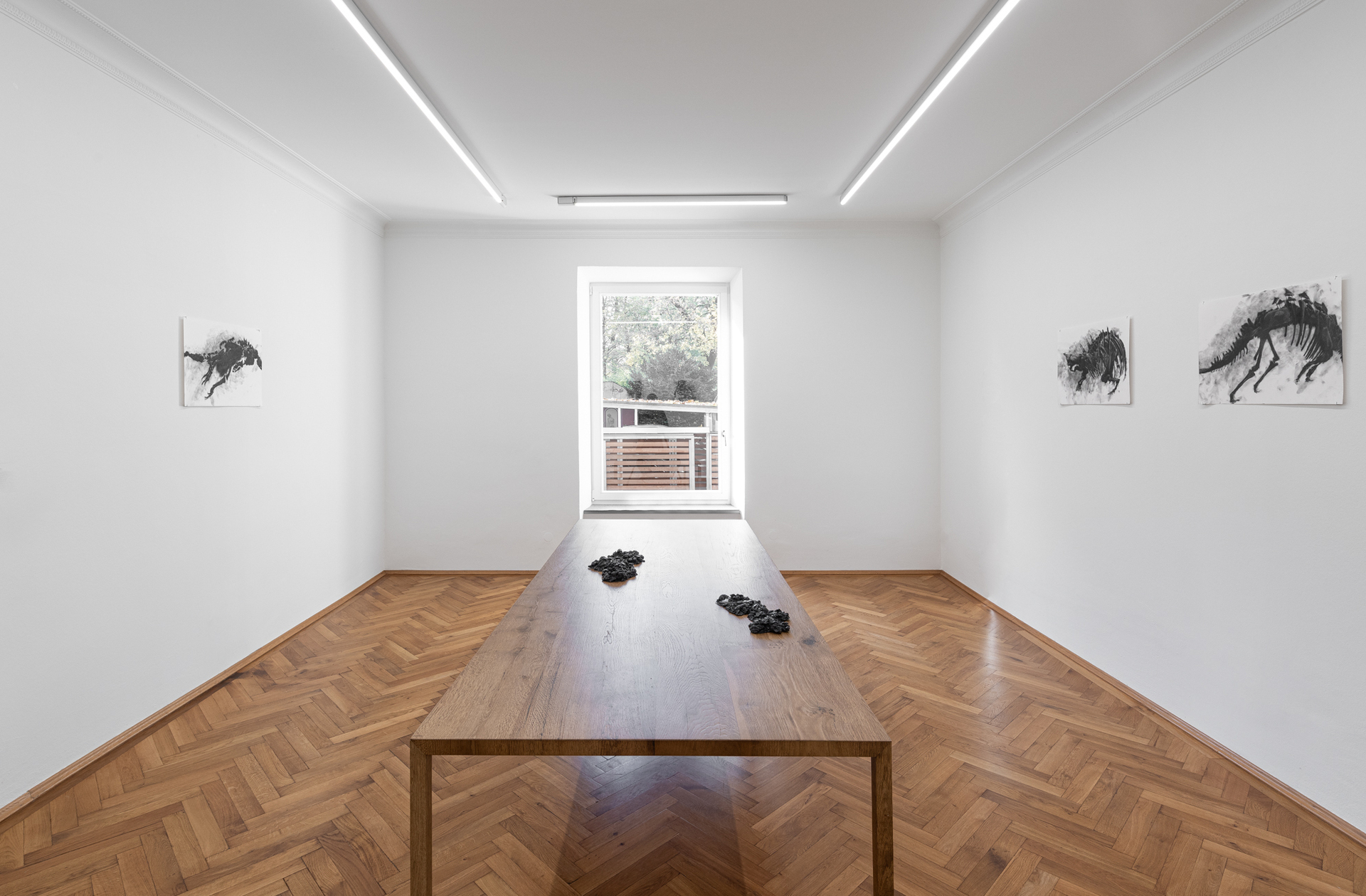 Installation View: Frances Drayson, "Natural History", 2021