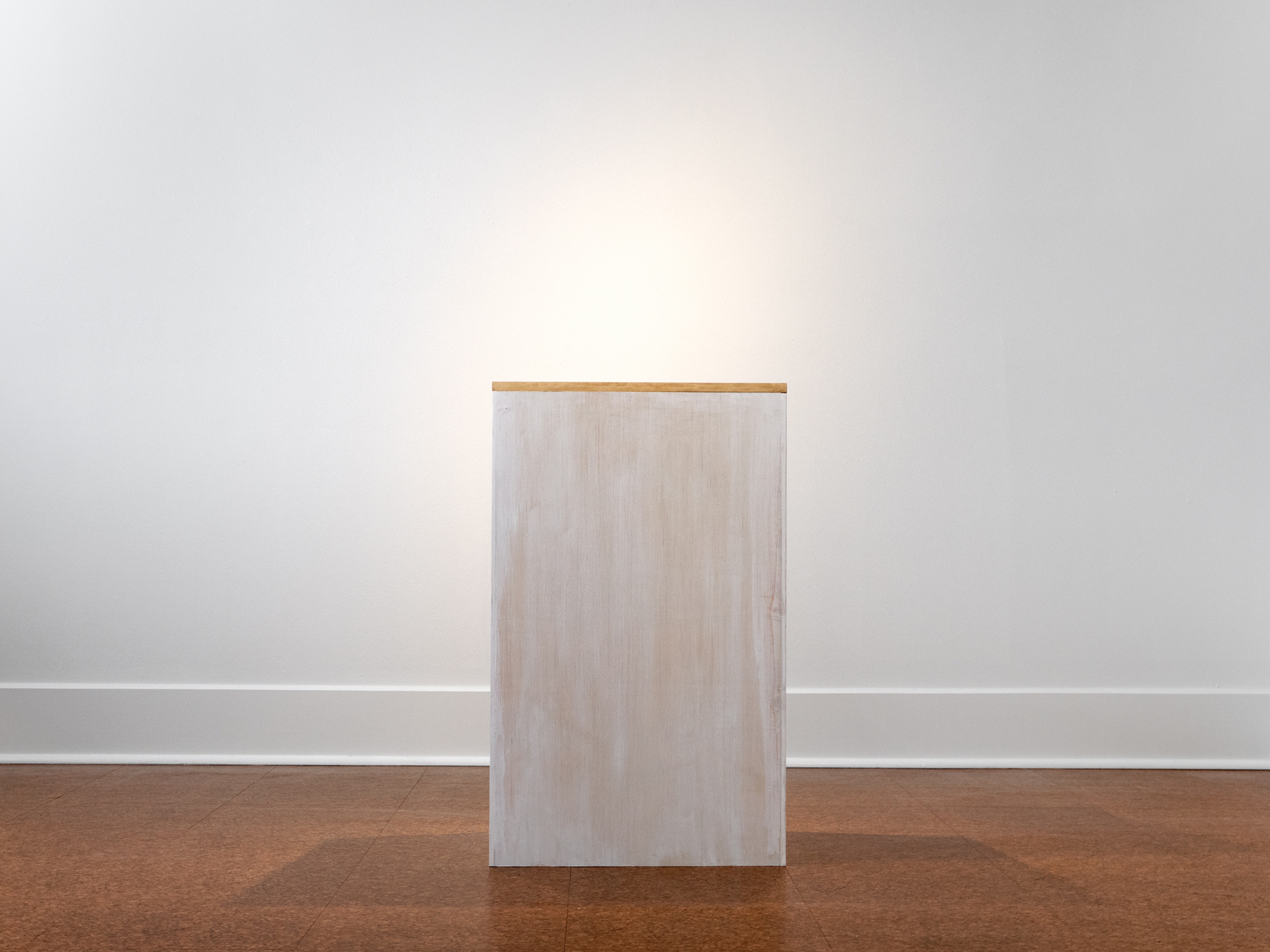 D.E.I. (or Don’t Come, 6/7/2021), 2021; Tattoo on silicone rubber, custom display case; 40 x 24 x 20 inches