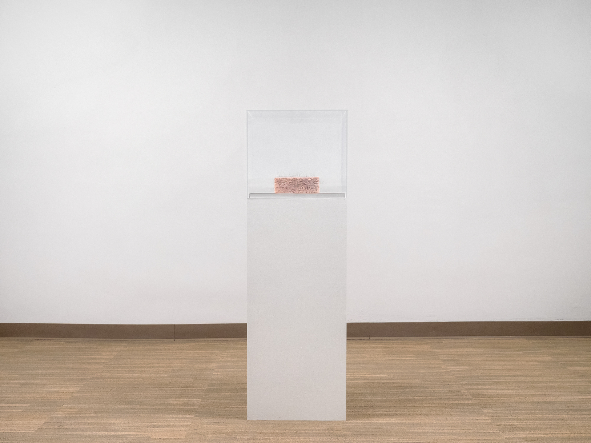 Untitled (hairy sponge), 2021; Silicone rubber, synthetic hair; 2 ½ x 7 ½ x 4 inches