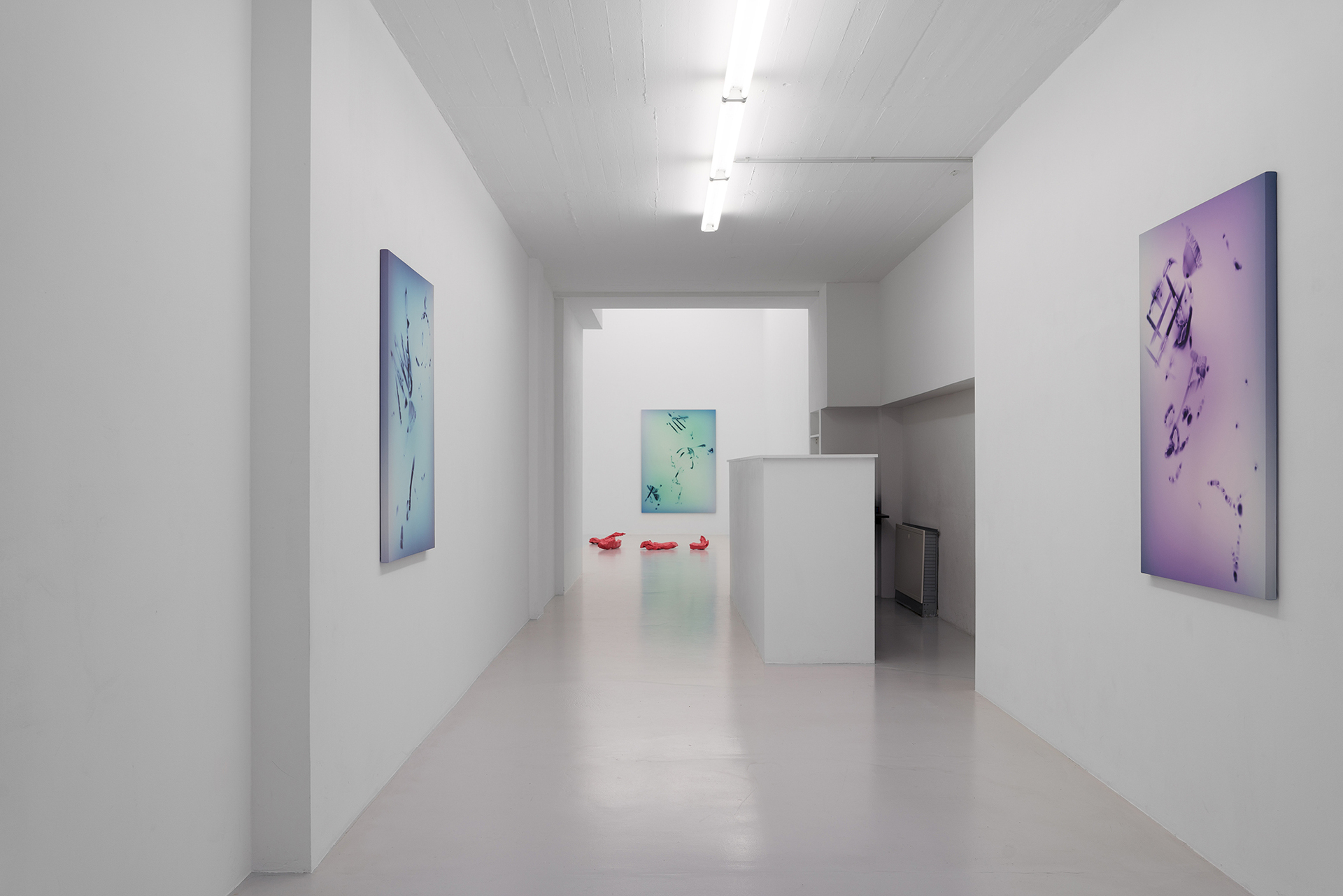 Exhibition view, Softbody, 2021, fiebach, minninger, Cologne