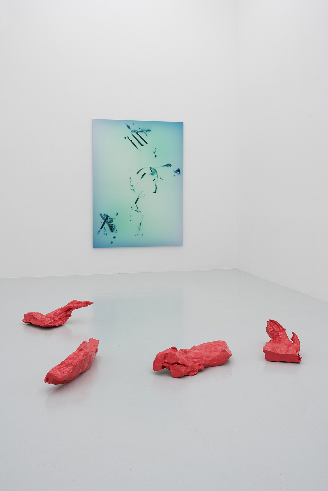 Exhibition view, Softbody, 2021, fiebach, minninger, Cologne