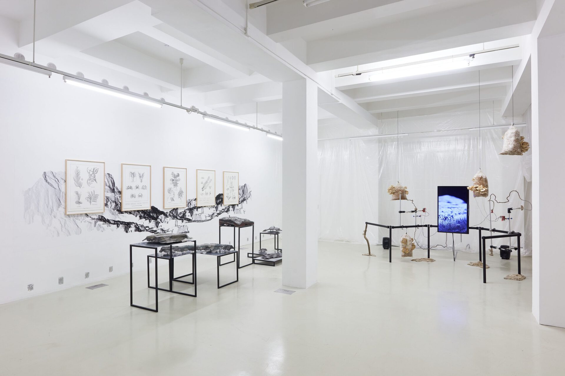 Anca Benera &amp; Arnold Estefán: Subnature | exhibition view | Trafó Gallery, 2021| photo: Dávid Biró