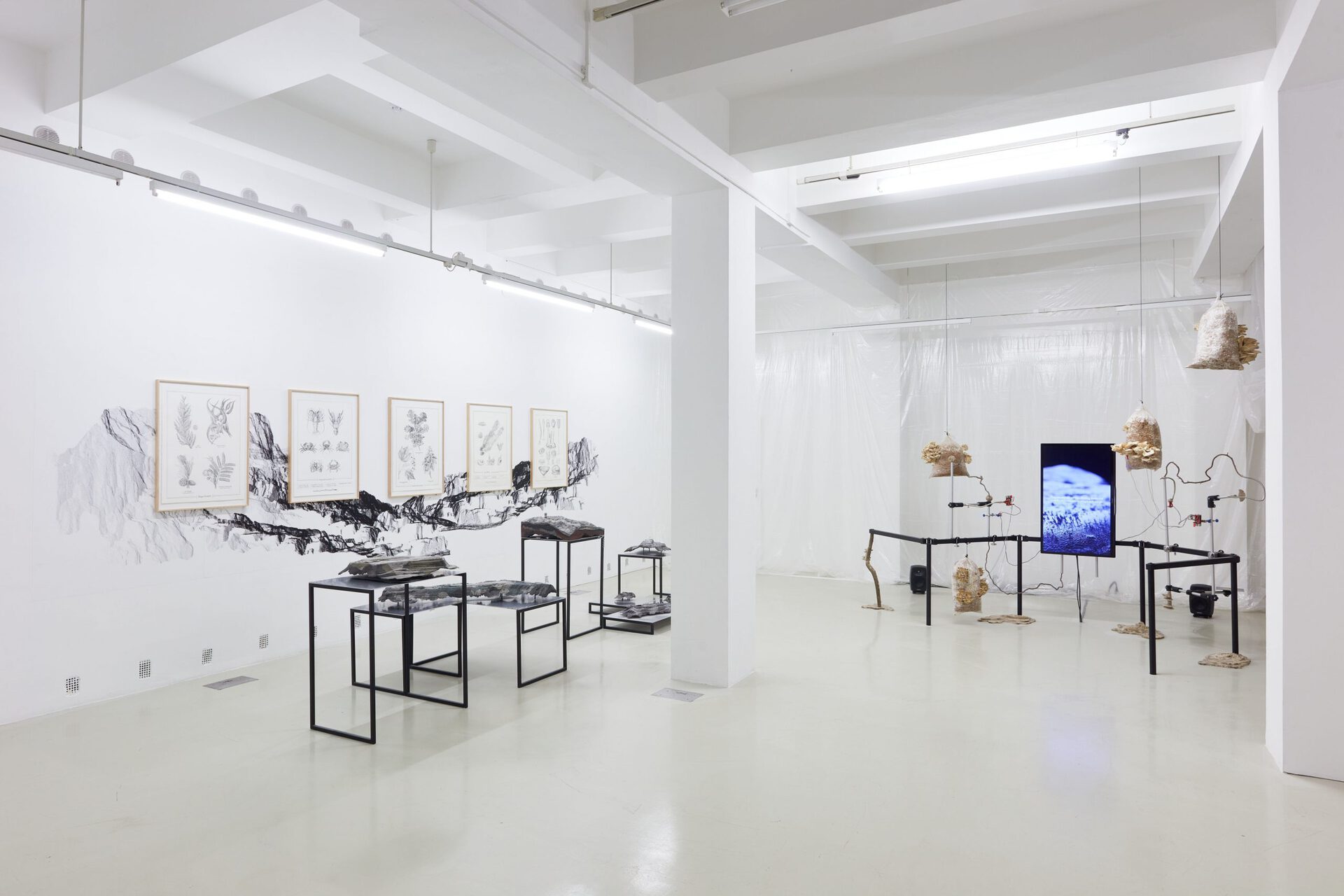 Anca Benera & Arnold Estefán: Subnature | exhibition view | Trafó Gallery, 2021| photo: Dávid Biró
