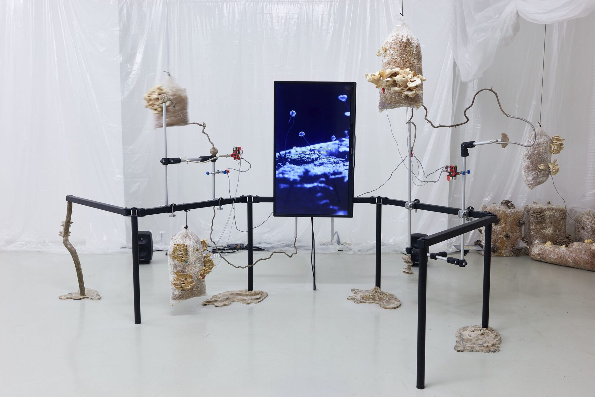 Anca Benera & Arnold Estefán: The Visible Manifestations of Invisible Forces, 2020 | photo: Dávid Biró