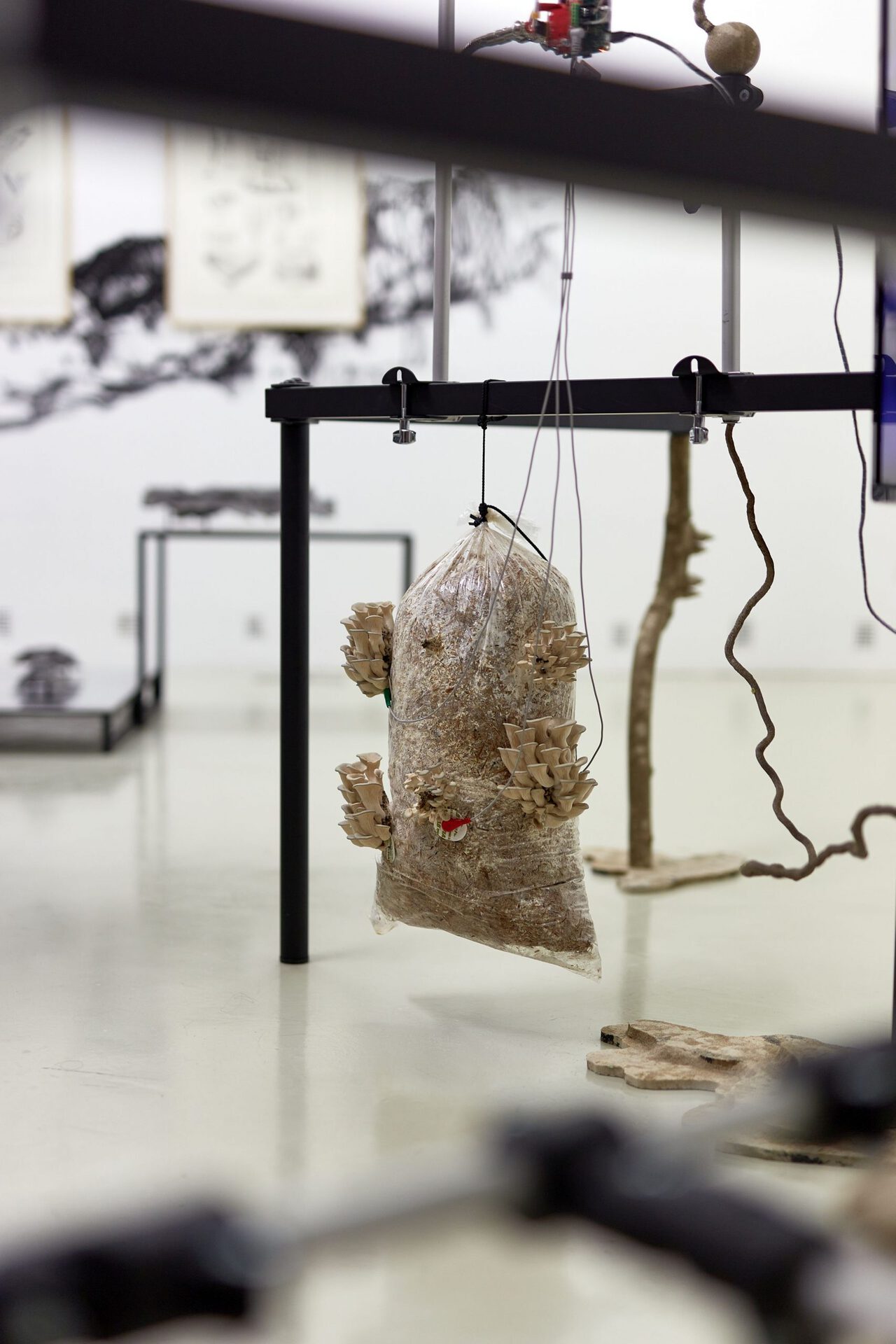 Anca Benera & Arnold Estefán: The Visible Manifestations of Invisible Forces (detail), 2020 | photo: Dávid Biró