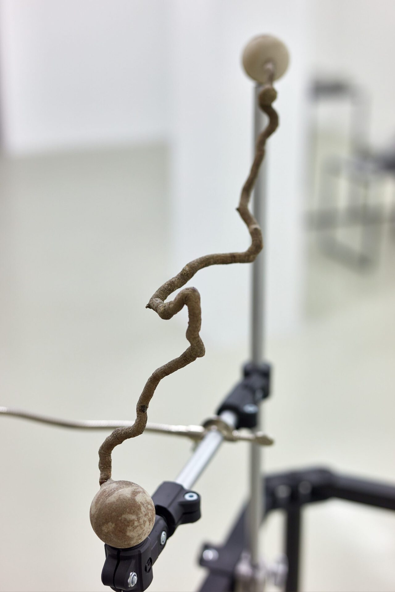 Anca Benera & Arnold Estefán: The Visible Manifestations of Invisible Forces (detail), 2020 | photo: Dávid Biró