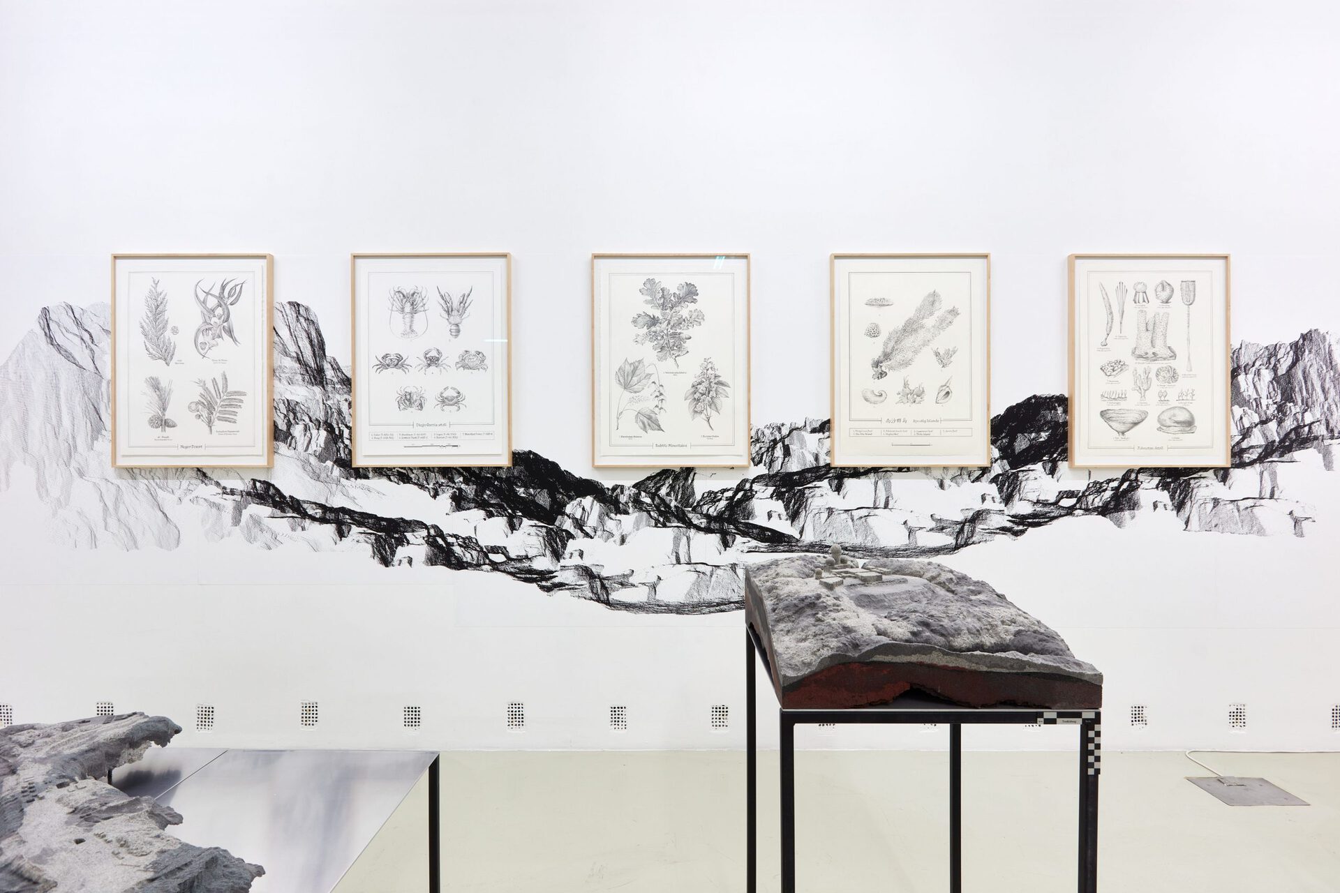 Anca Benera & Arnold Estefán: Debrisphere. Landscape as an extension of the military imagination, 2017 – 2021 | photo: Dávid Biró