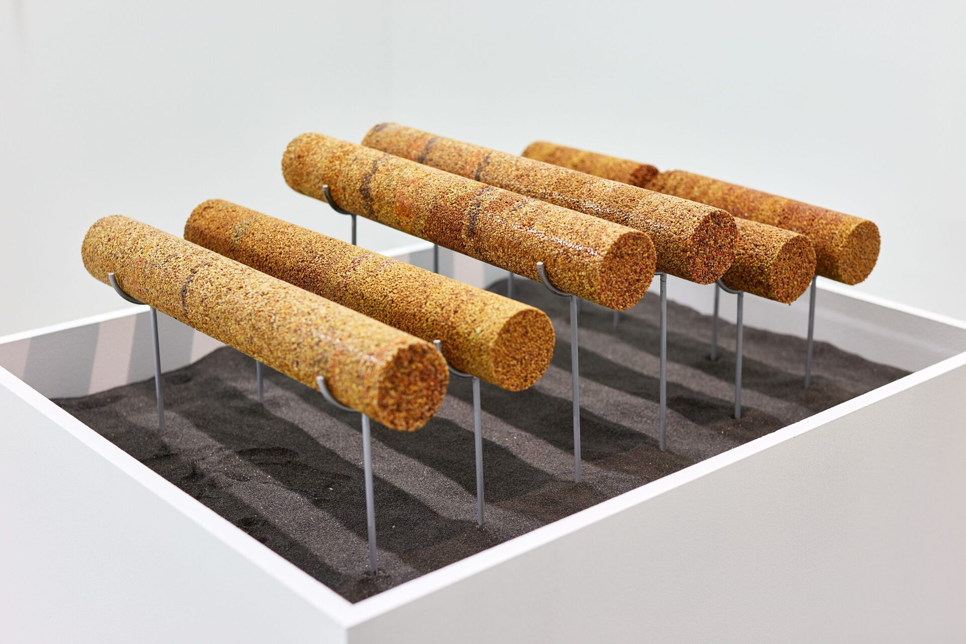 Anca Benera & Arnold Estefán: Proxy Climates (detail), 2019 – 2021 | photo: Dávid Biró