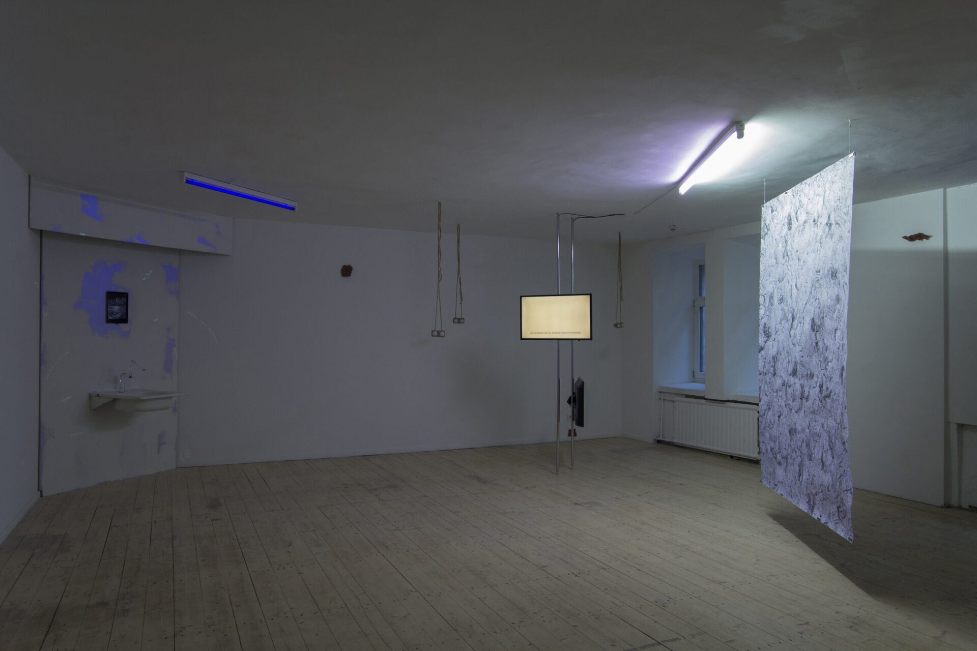 Exhibition view at Editorial