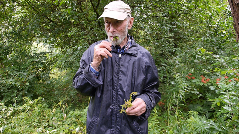 tiefkeller, Arboretum Obergaiching, 2021, video