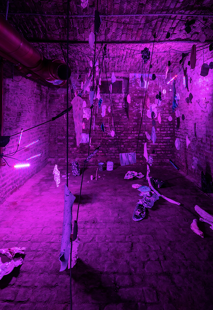 tiefkeller, -5, 2021, installation view