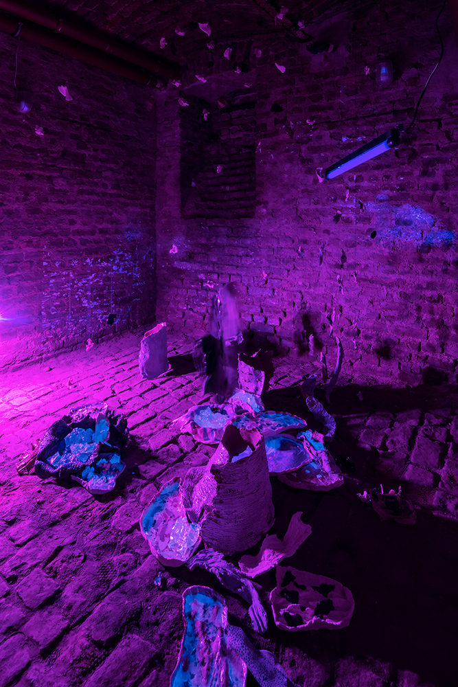 tiefkeller, -5, 2021, installation view