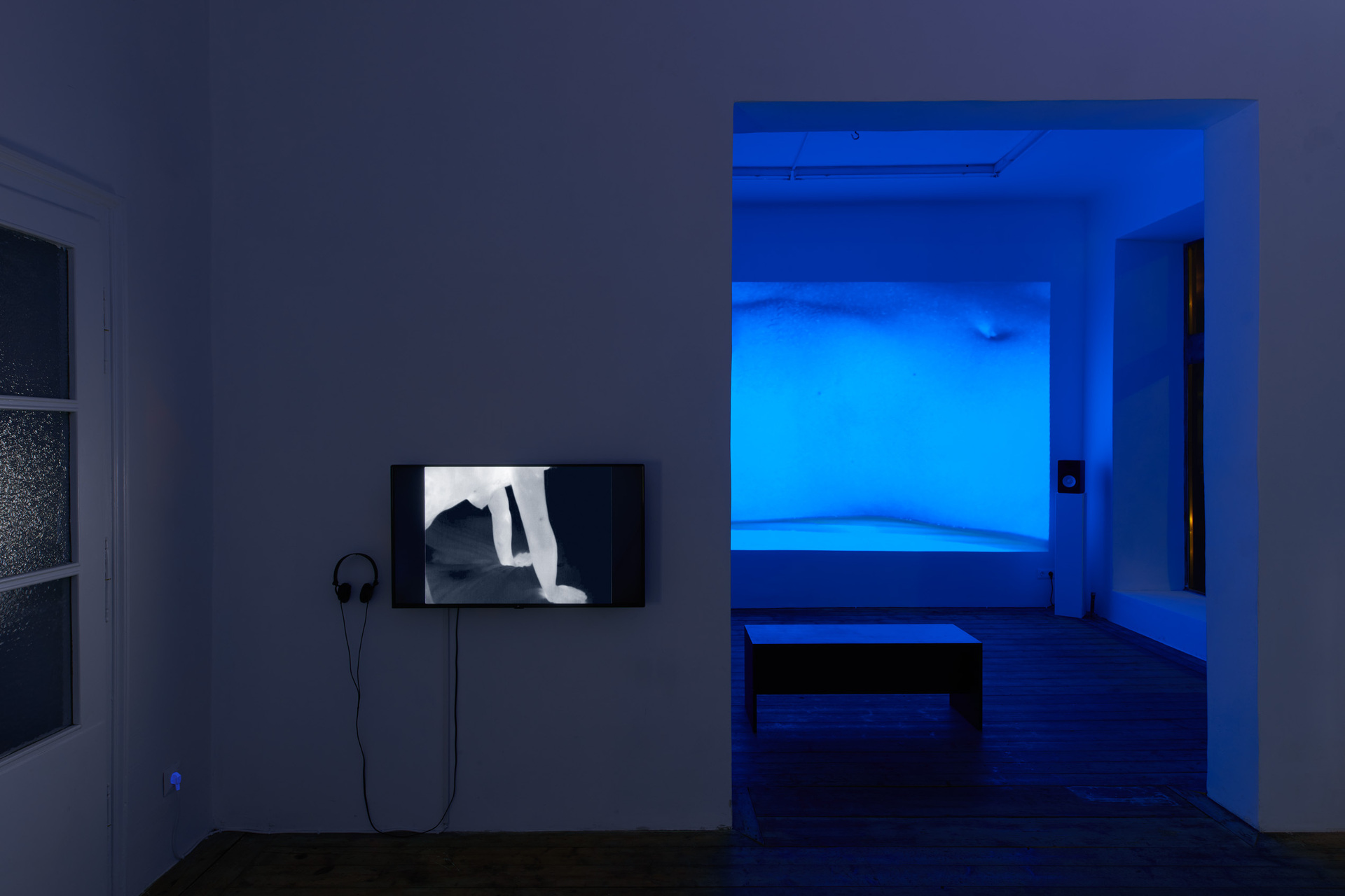Vika Kirchenbauer, Violet but more radical, installation view, Kevin Space 2021.  Photo: Maximilian Anelli-Monti