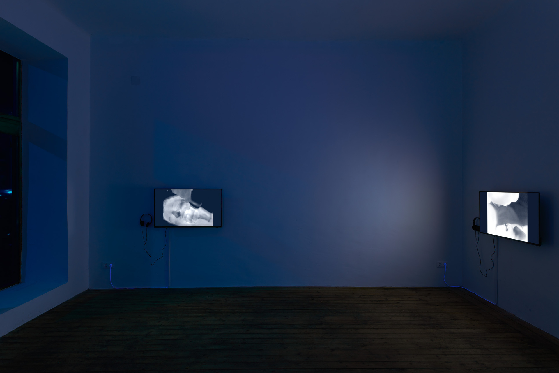 Vika Kirchenbauer, Violet but more radical, installation view, Kevin Space 2021.  Photo: Maximilian Anelli-Monti