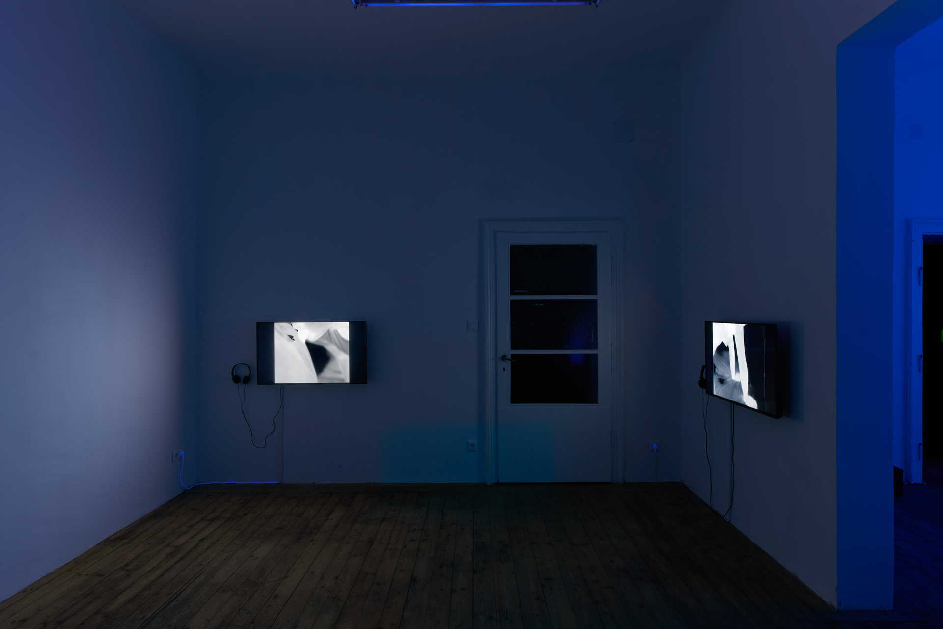 Vika Kirchenbauer, Violet but more radical, installation view, Kevin Space 2021.  Photo: Maximilian Anelli-Monti