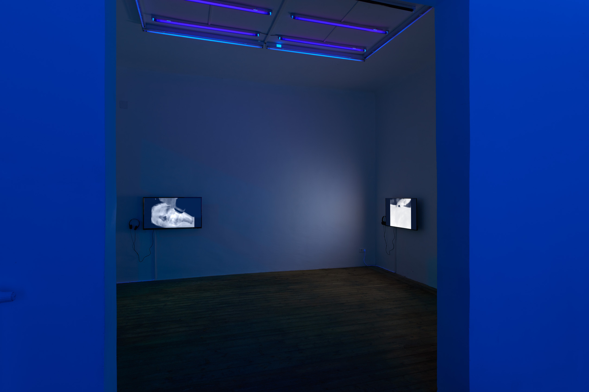 Vika Kirchenbauer, Violet but more radical, installation view, Kevin Space 2021.  Photo: Maximilian Anelli-Monti
