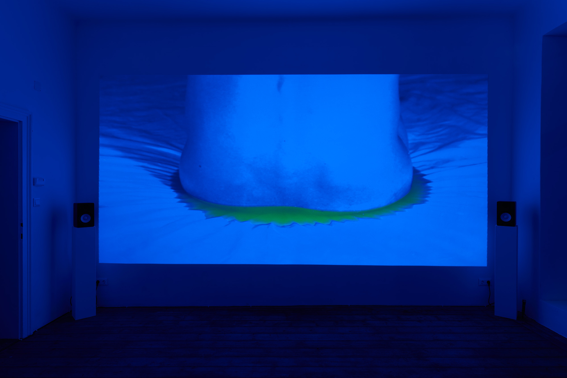 Vika Kirchenbauer, UNTITLED SEQUENCE OF GAPS, 2020, single channel video, 12:31 min.  Photo: Maximilian Anelli-Monti