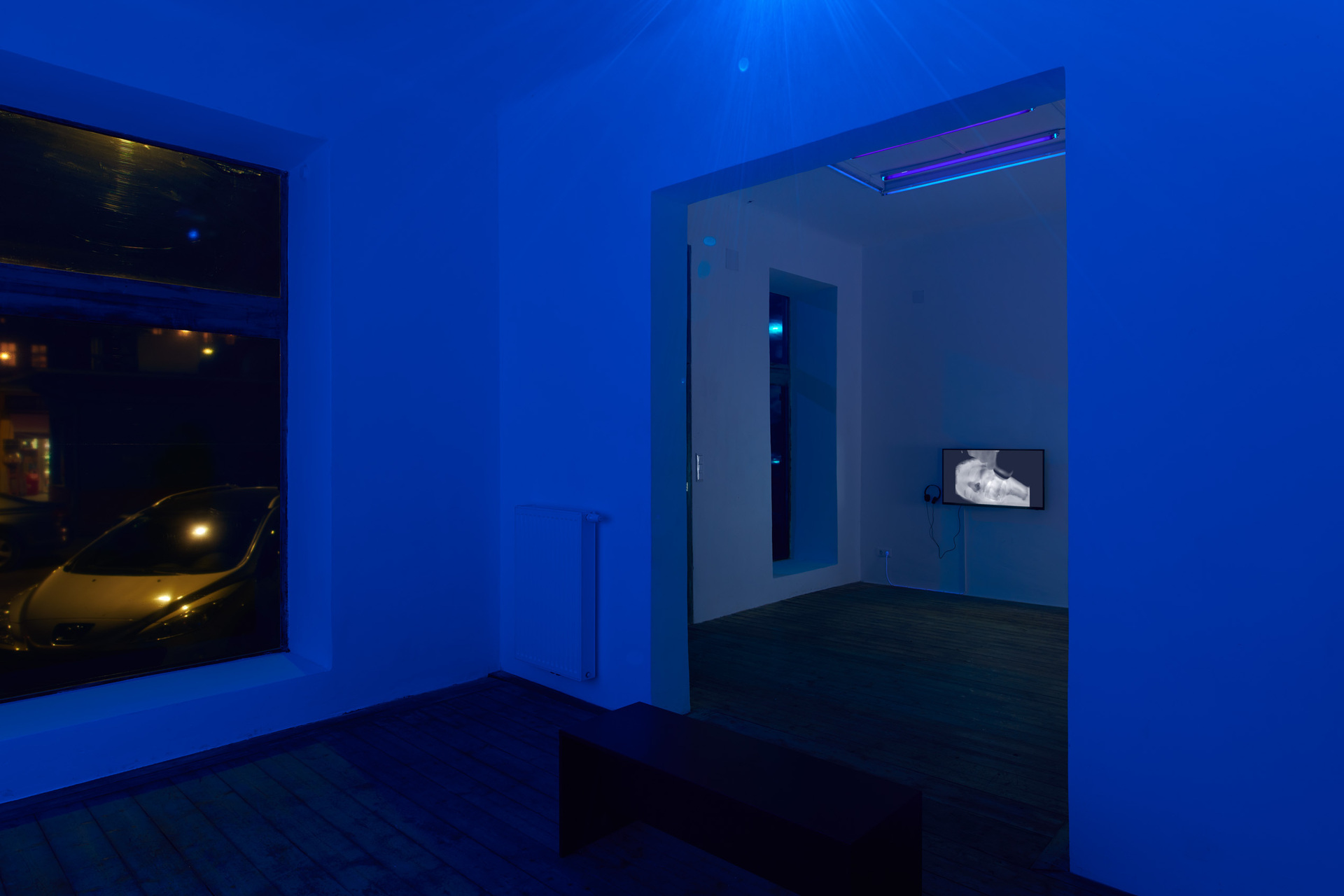 Vika Kirchenbauer, Violet but more radical, installation view, Kevin Space 2021.  Photo: Maximilian Anelli-Monti